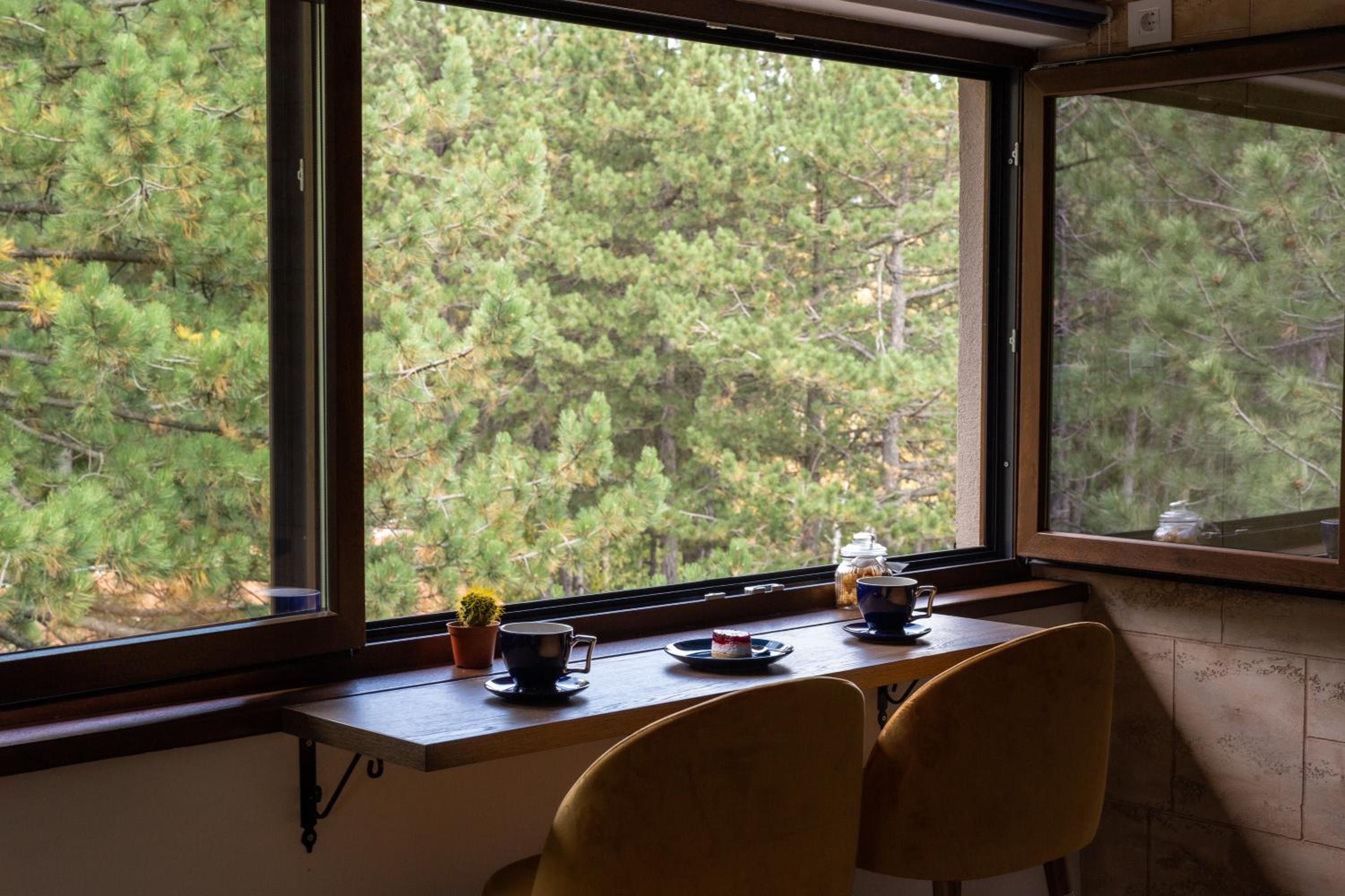 Zlatibor Apartman & Spa Casa Perfetta view 5