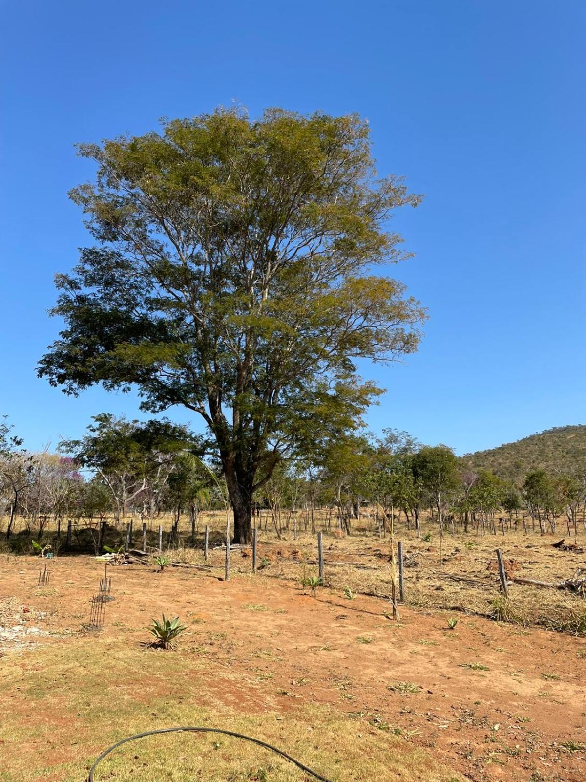 Casa em Pirenópolis com Piscina Fazenda Bonsucesso