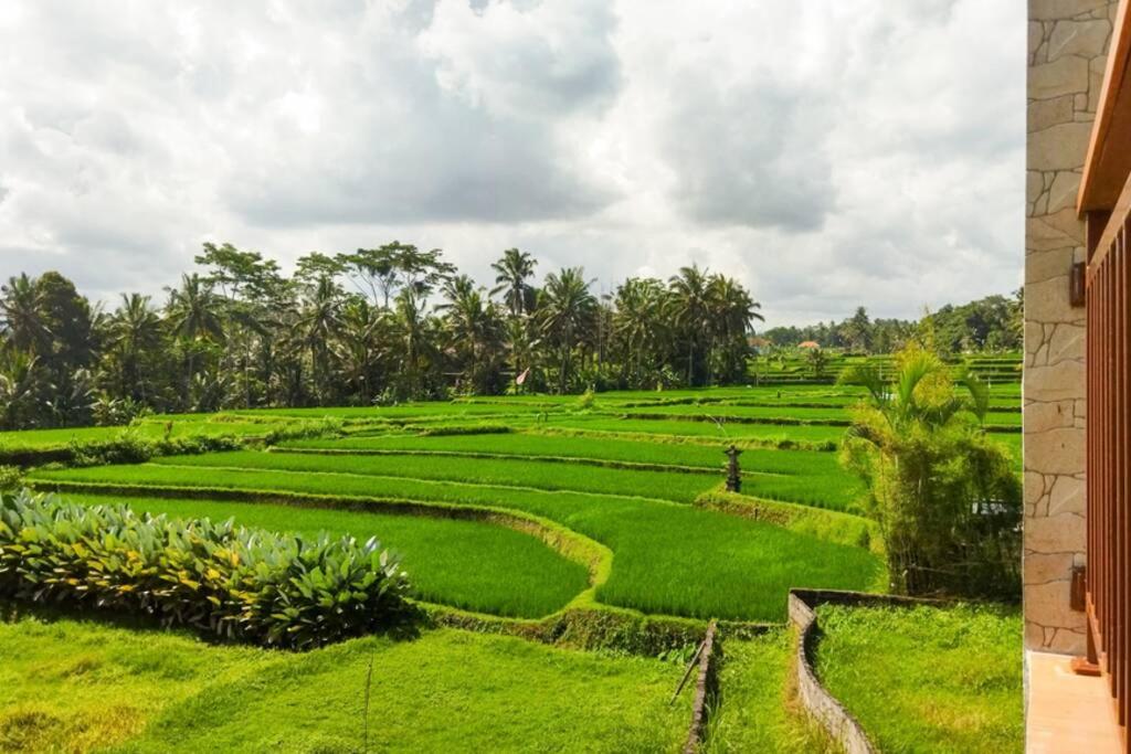 Umah Adenium Ubud
