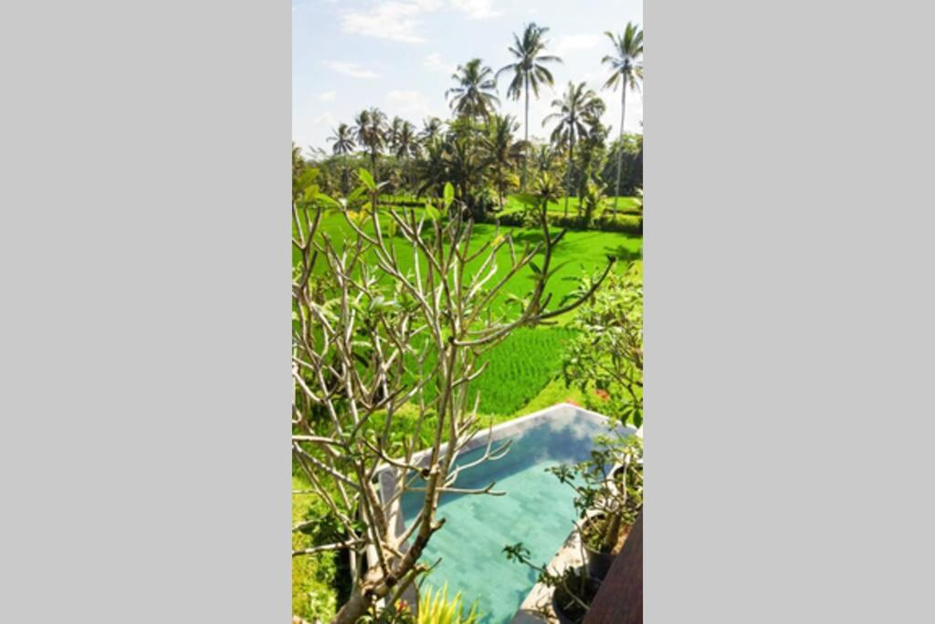 Umah Adenium Ubud