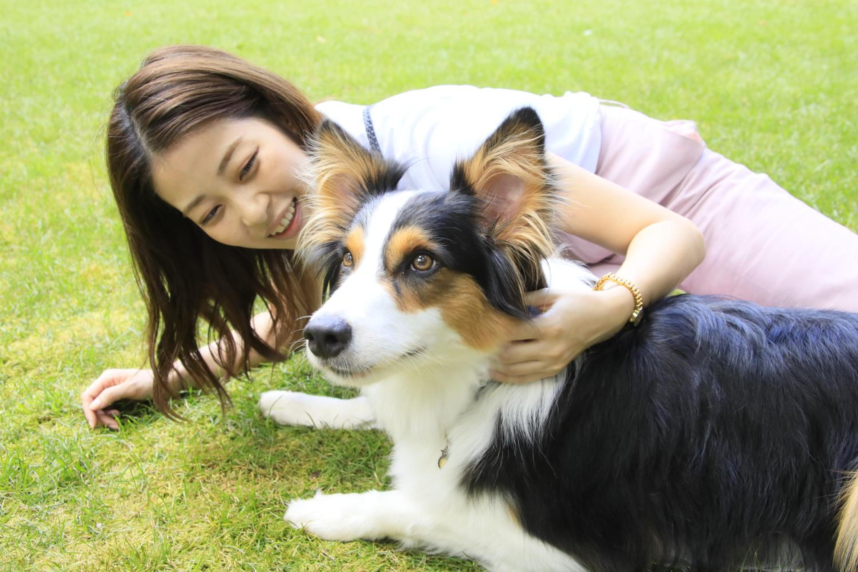 Yutorelo Tateshina Hotel with DOGS view 5