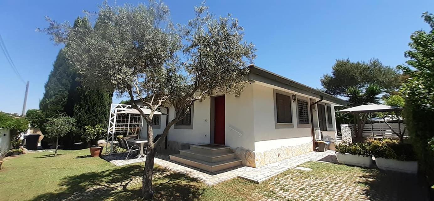 Gens Mundi B&B
