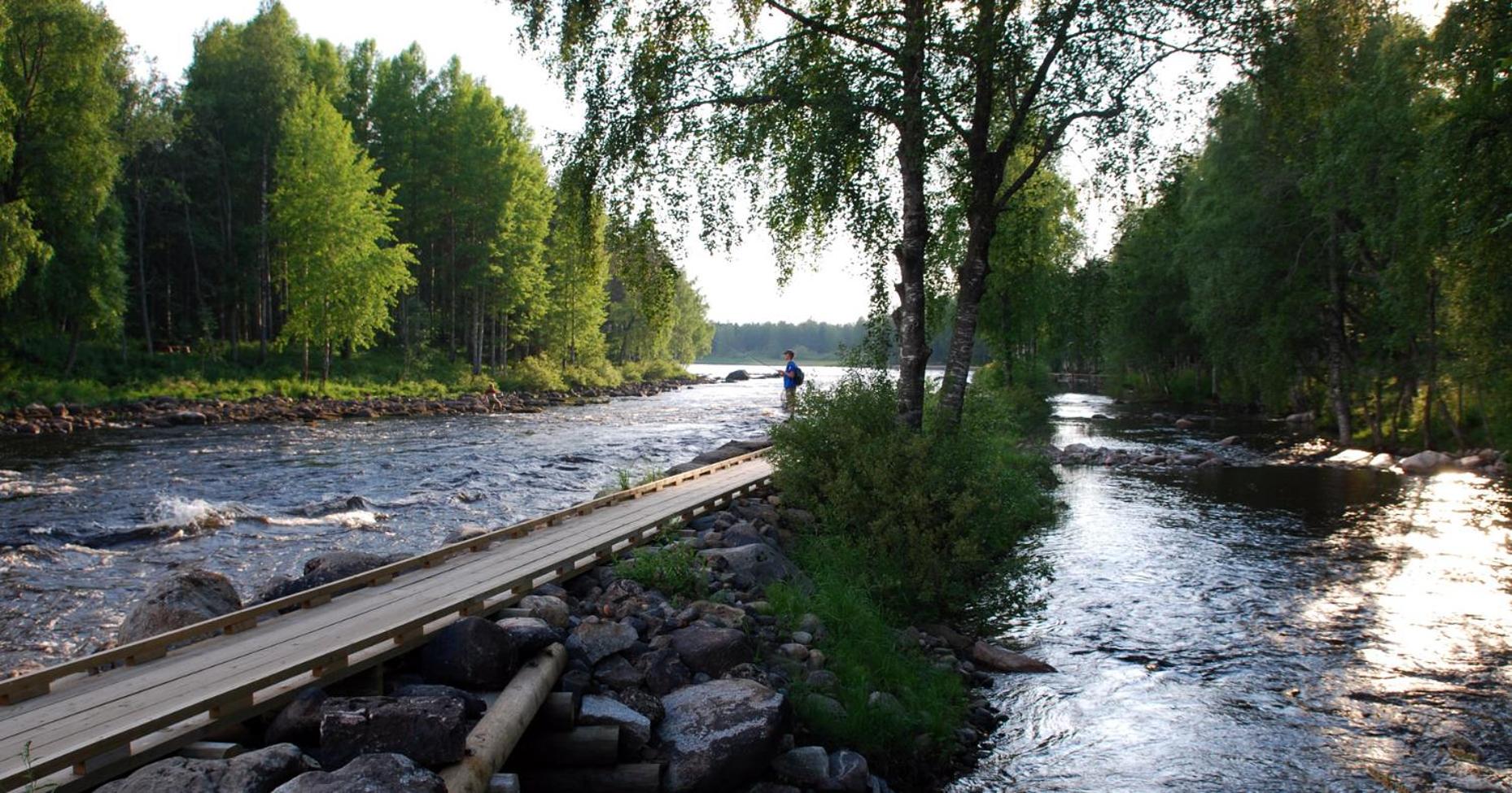 Hotelli Kainuu, photo 10