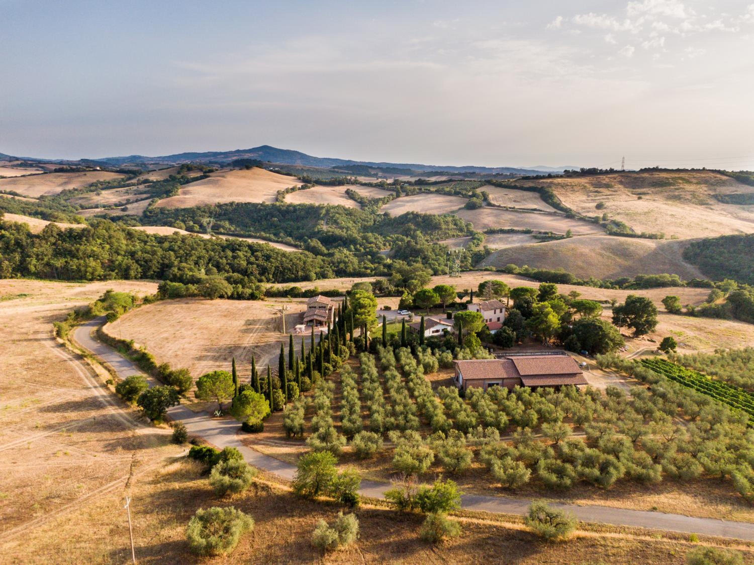 Agriturismo Podere Il Sorbo photo 2