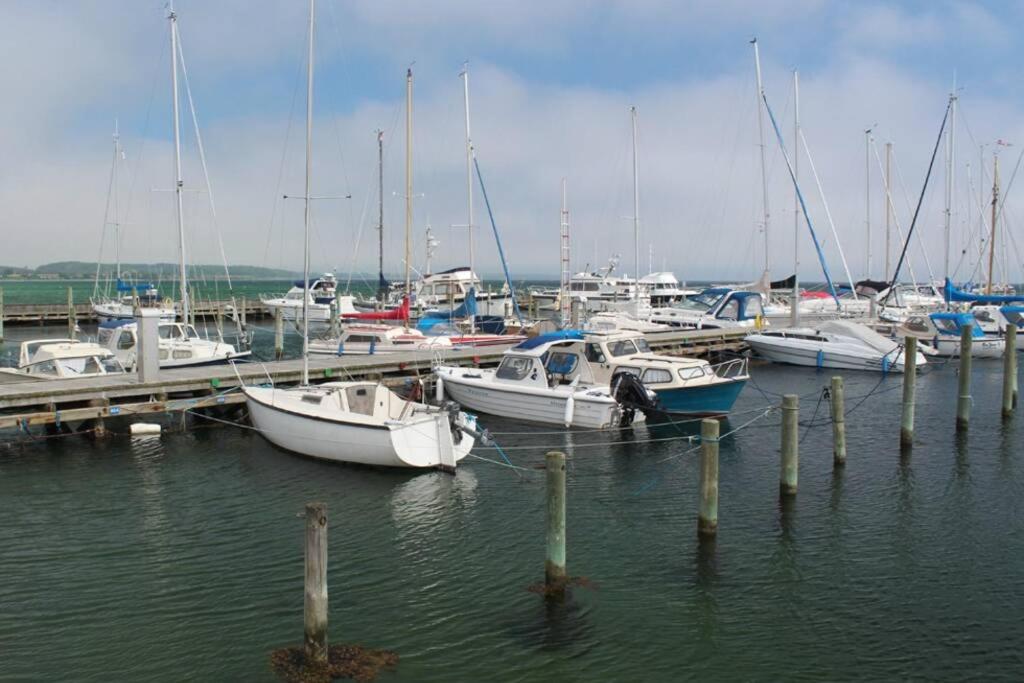 Photo 40