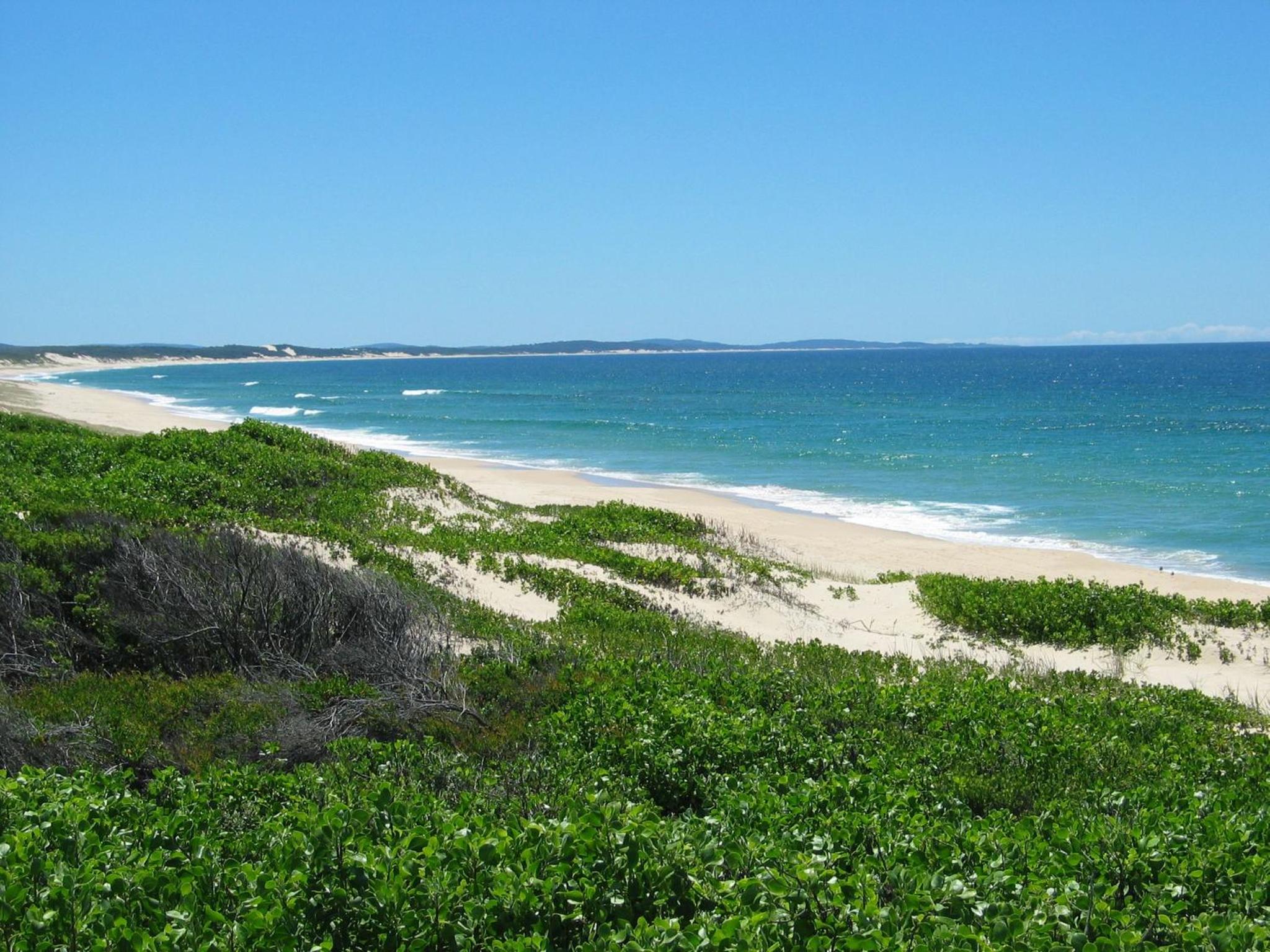 Pet Friendly on Pelican Close to Myall River