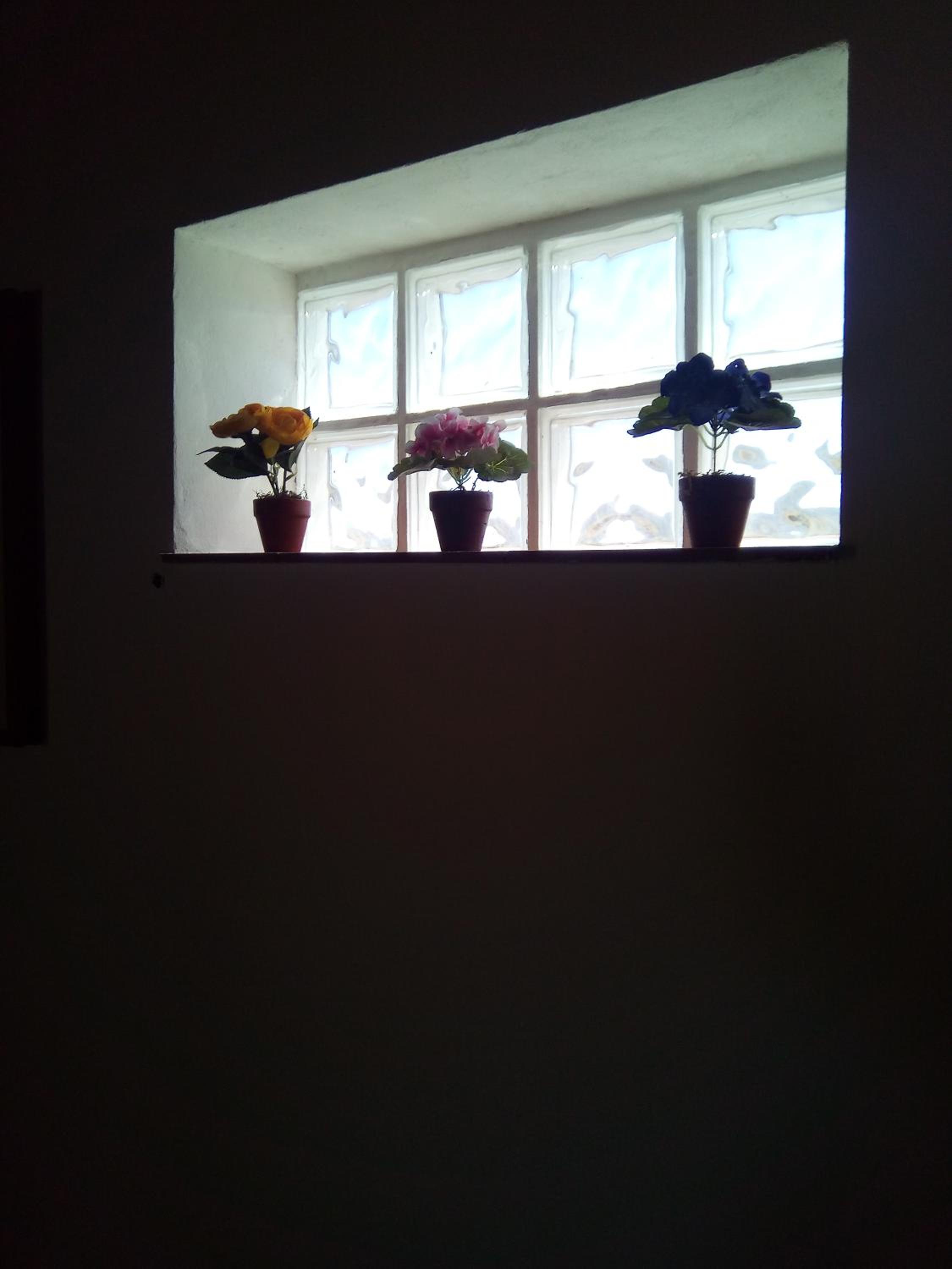 Photo 46