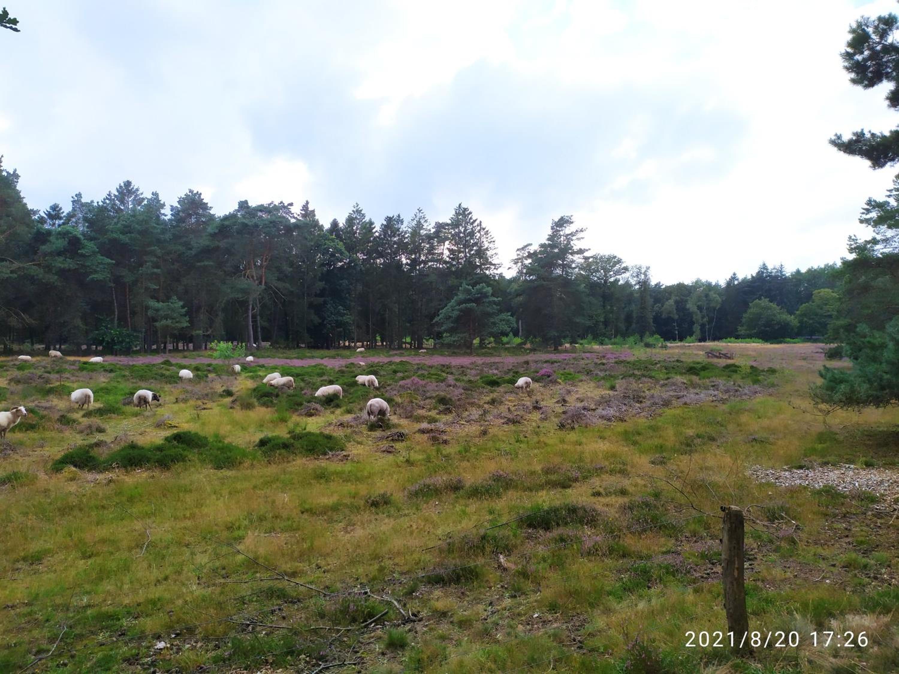 Oeroeboeroe view 2
