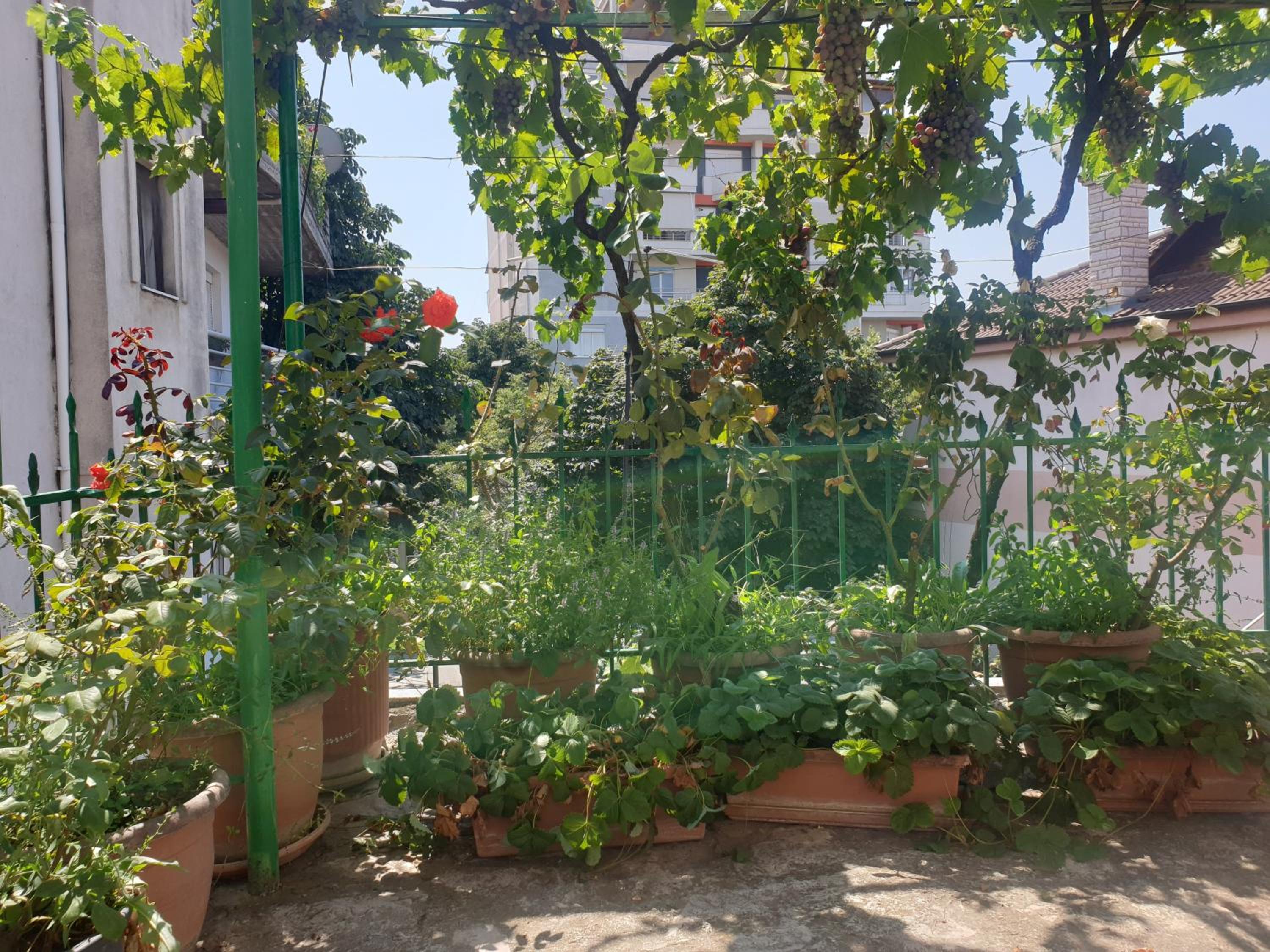 Jordhani's House