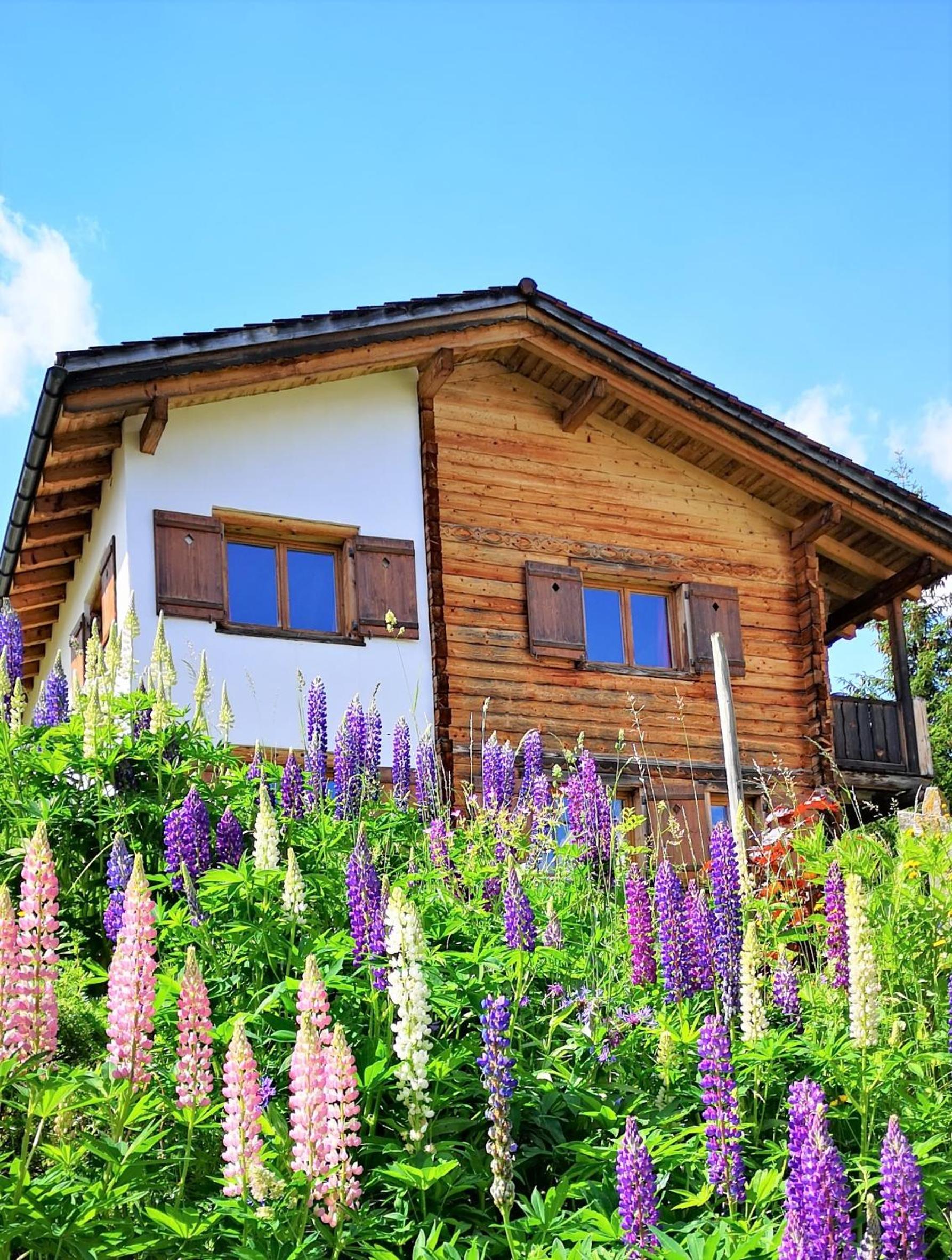 grosses Ferienhaus mit Sauna im Skigeb. Obersaxen