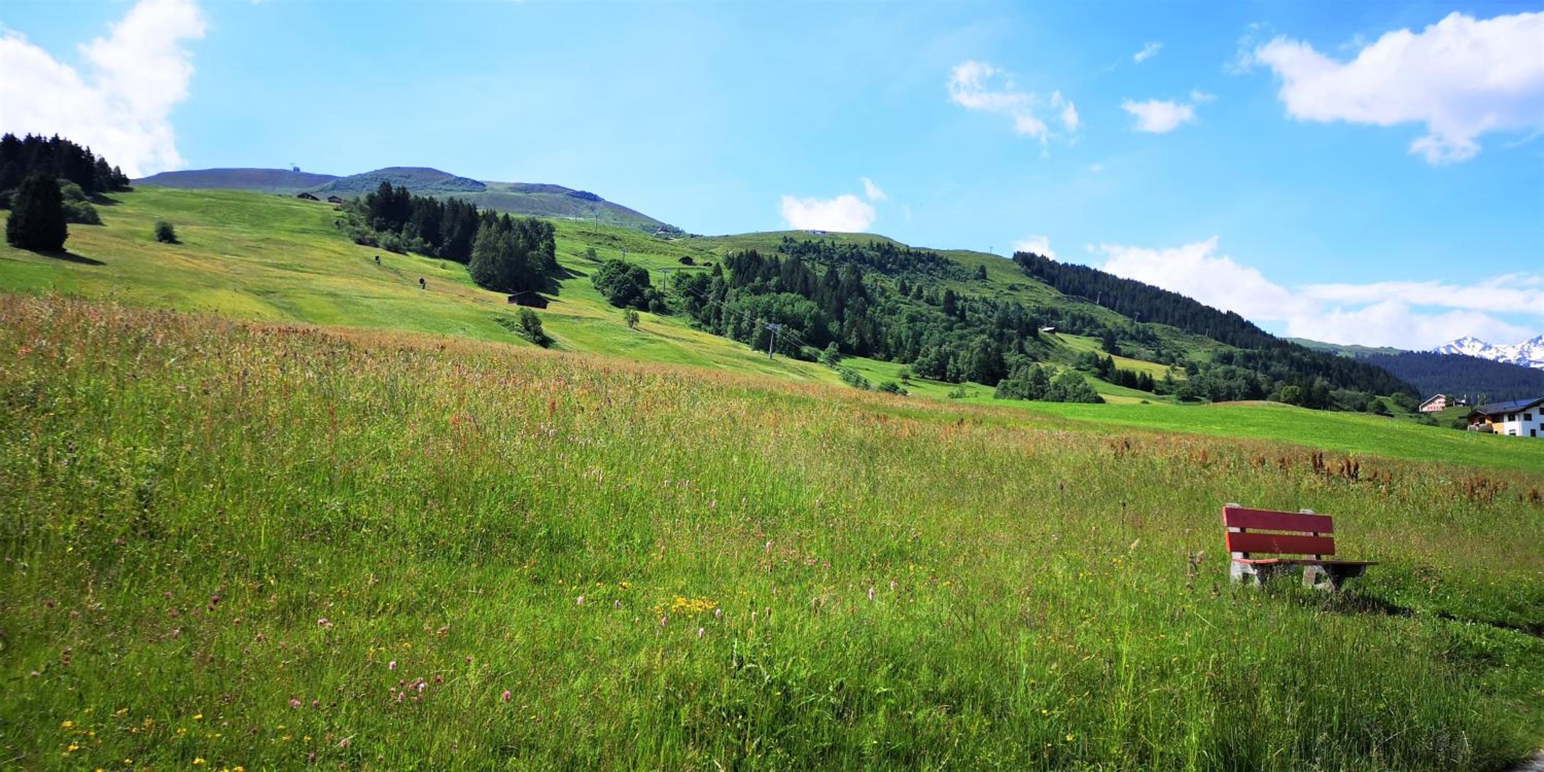 grosses Ferienhaus mit Sauna im Skigeb. Obersaxen