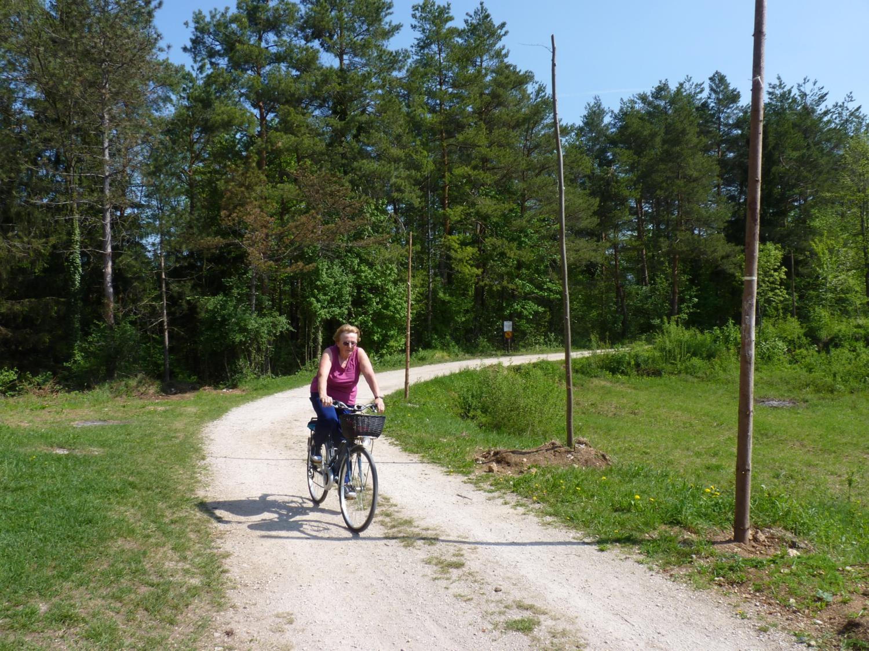 Photo 44