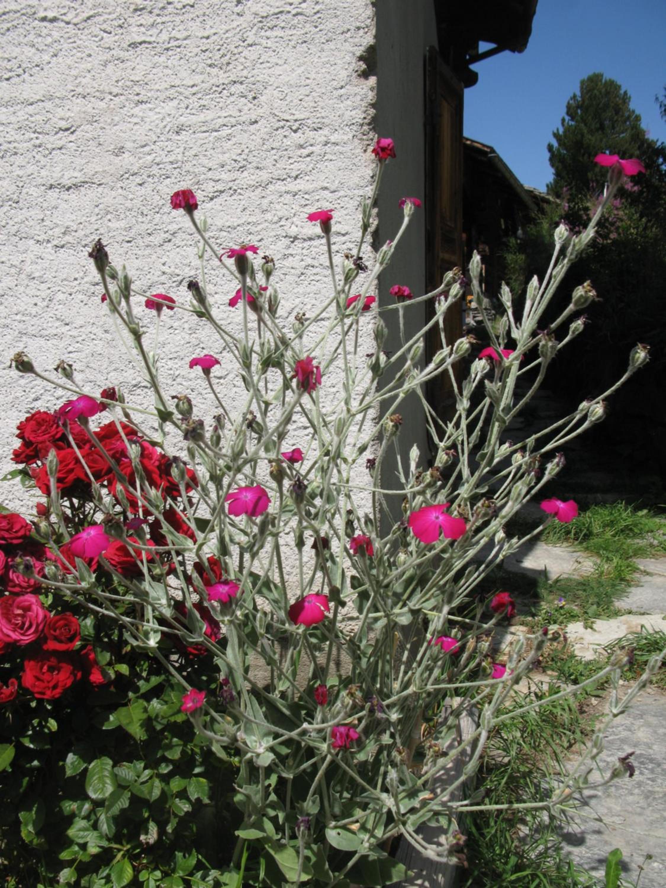 Photo 19