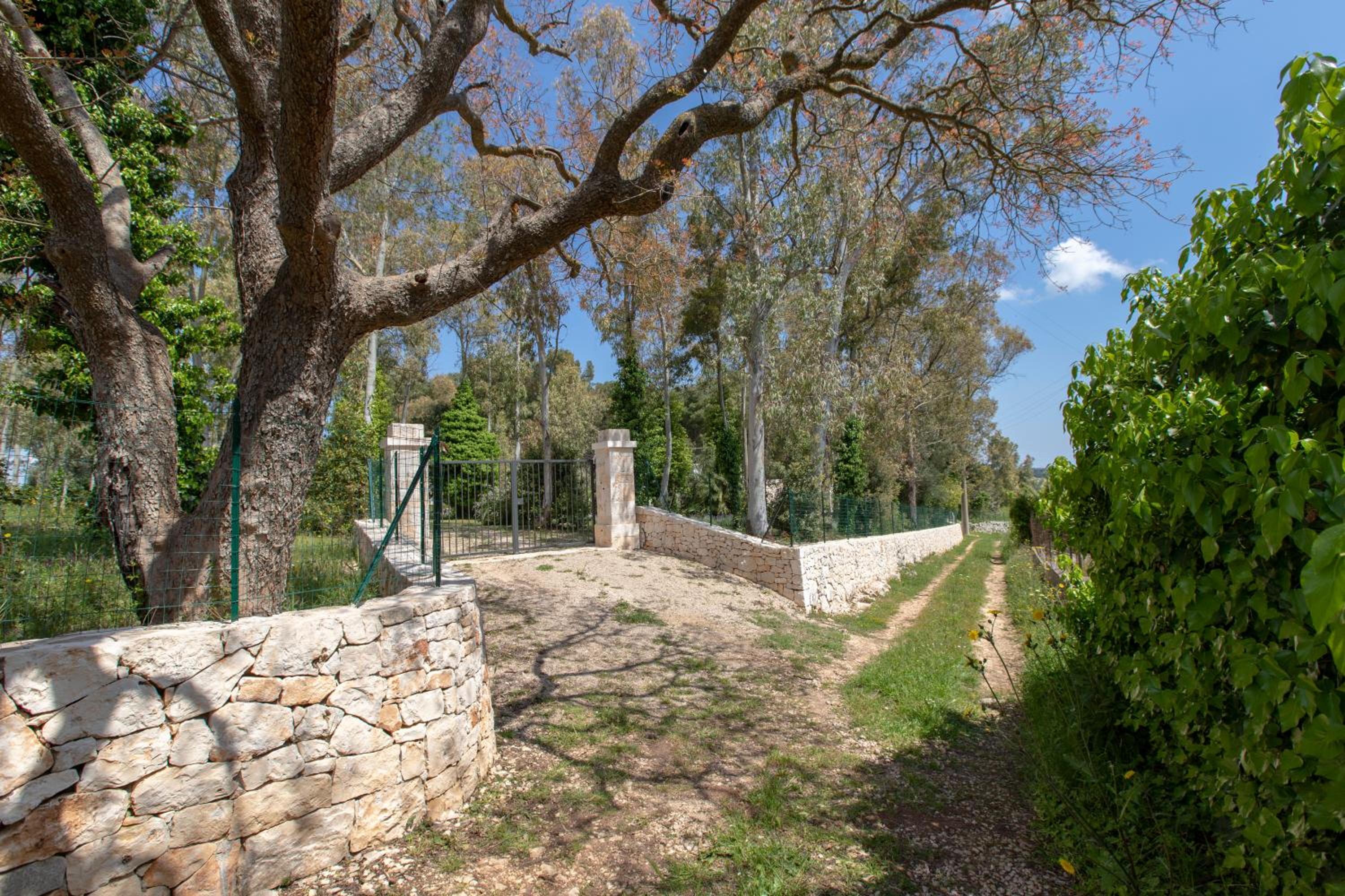 Photo 26