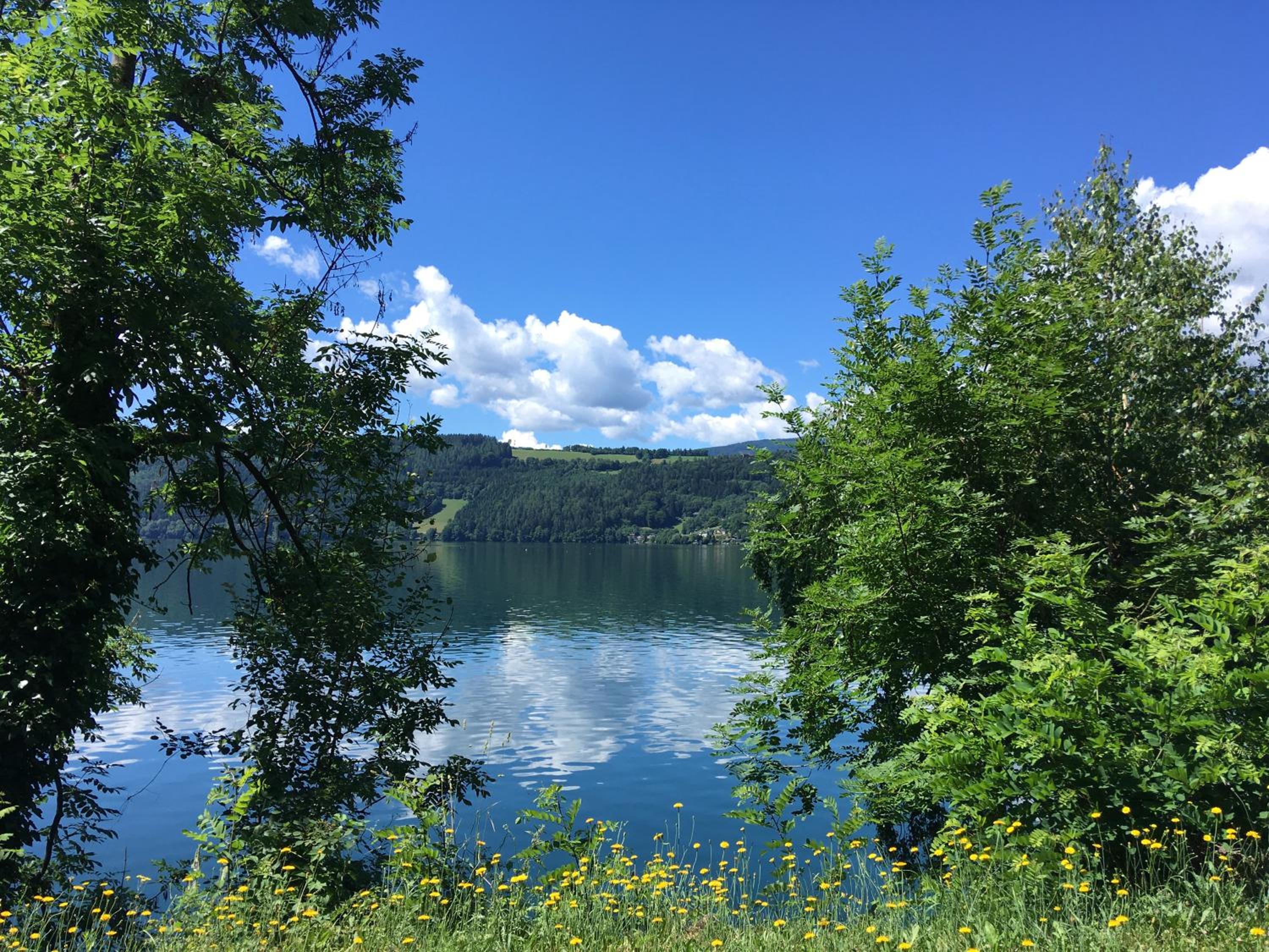 Appartement Kuhglocken Ferienhaus Fuenf Sinne