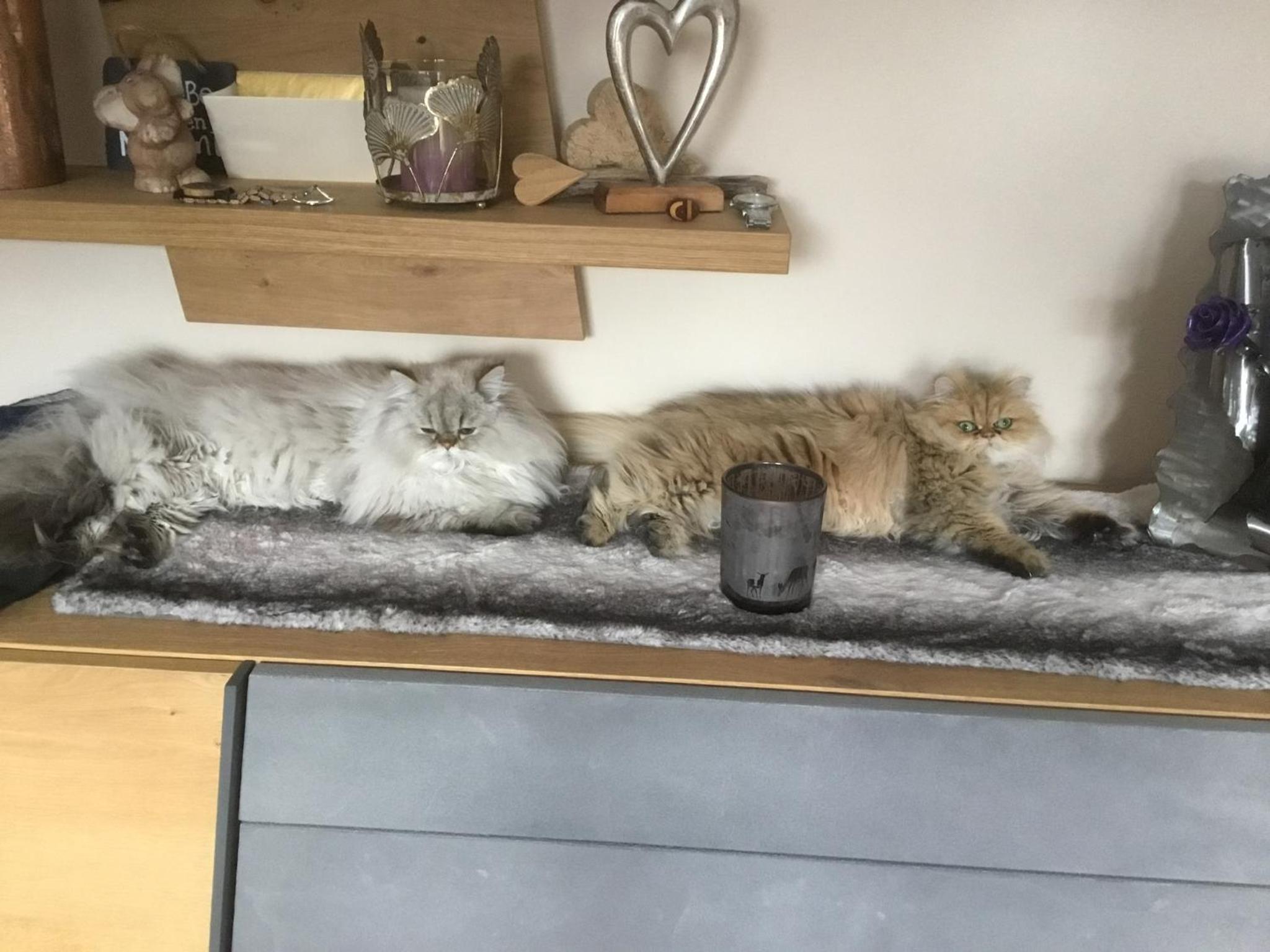 Photo 35