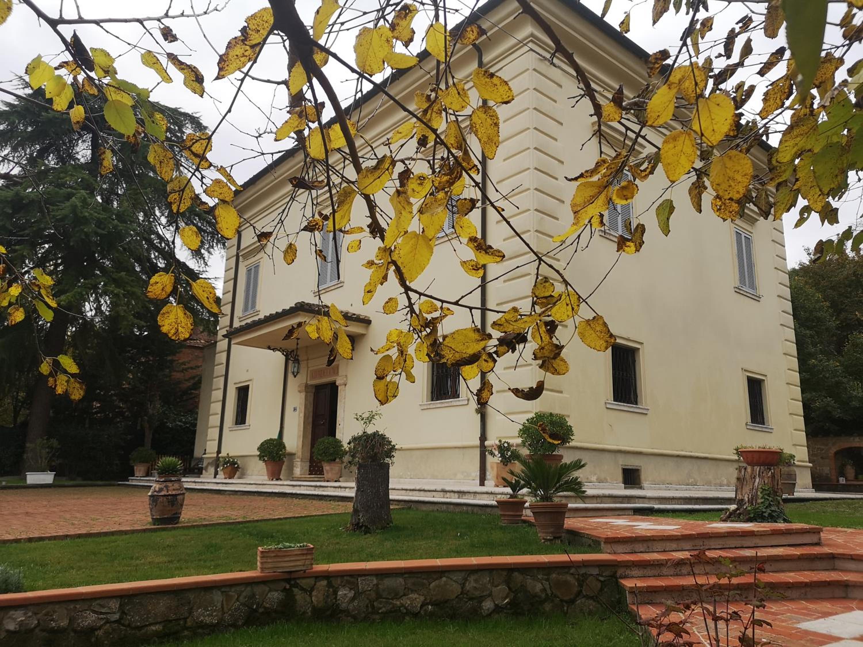 Photo 28