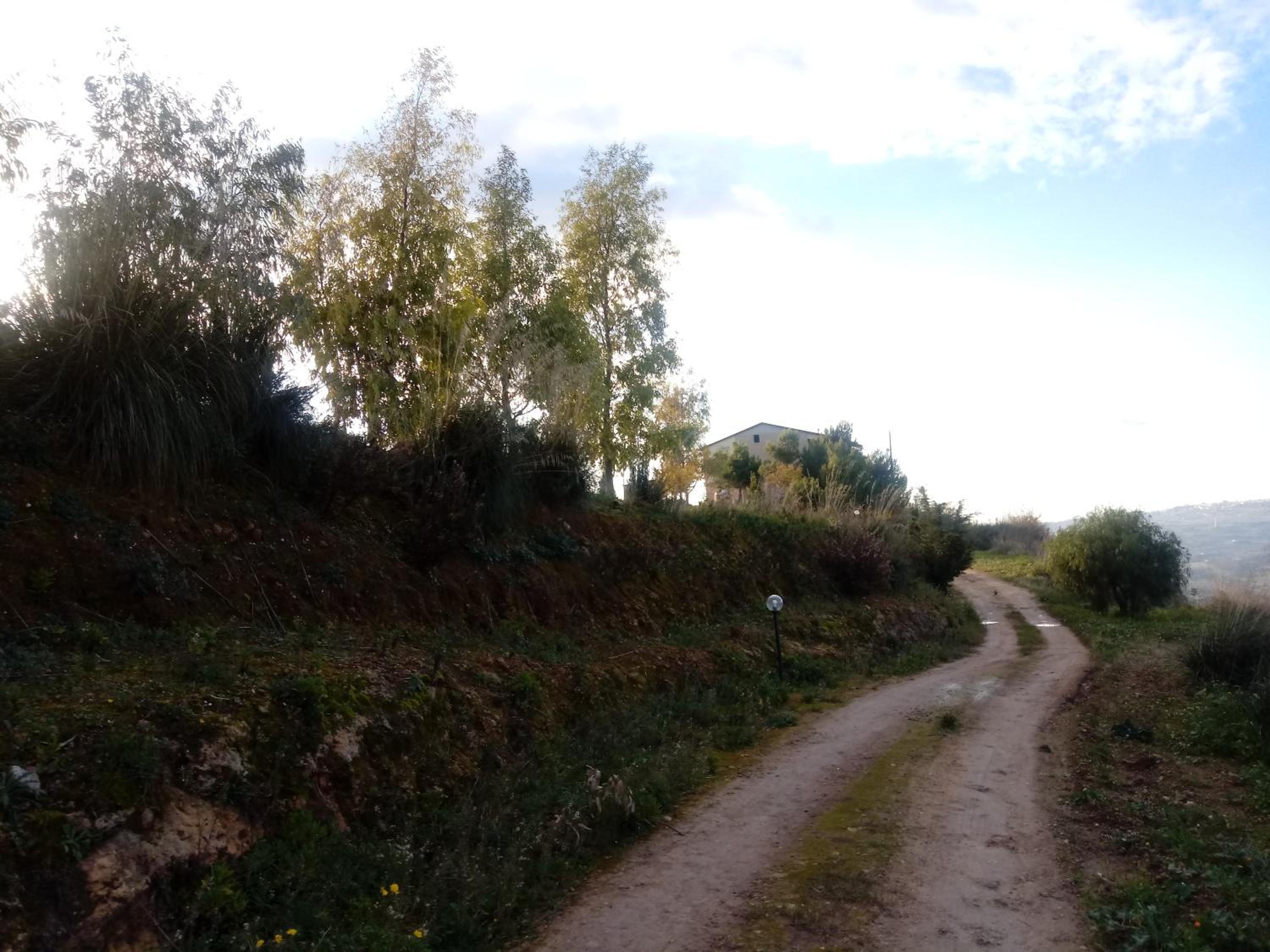 CASA RURALE IMPASTATO view 3