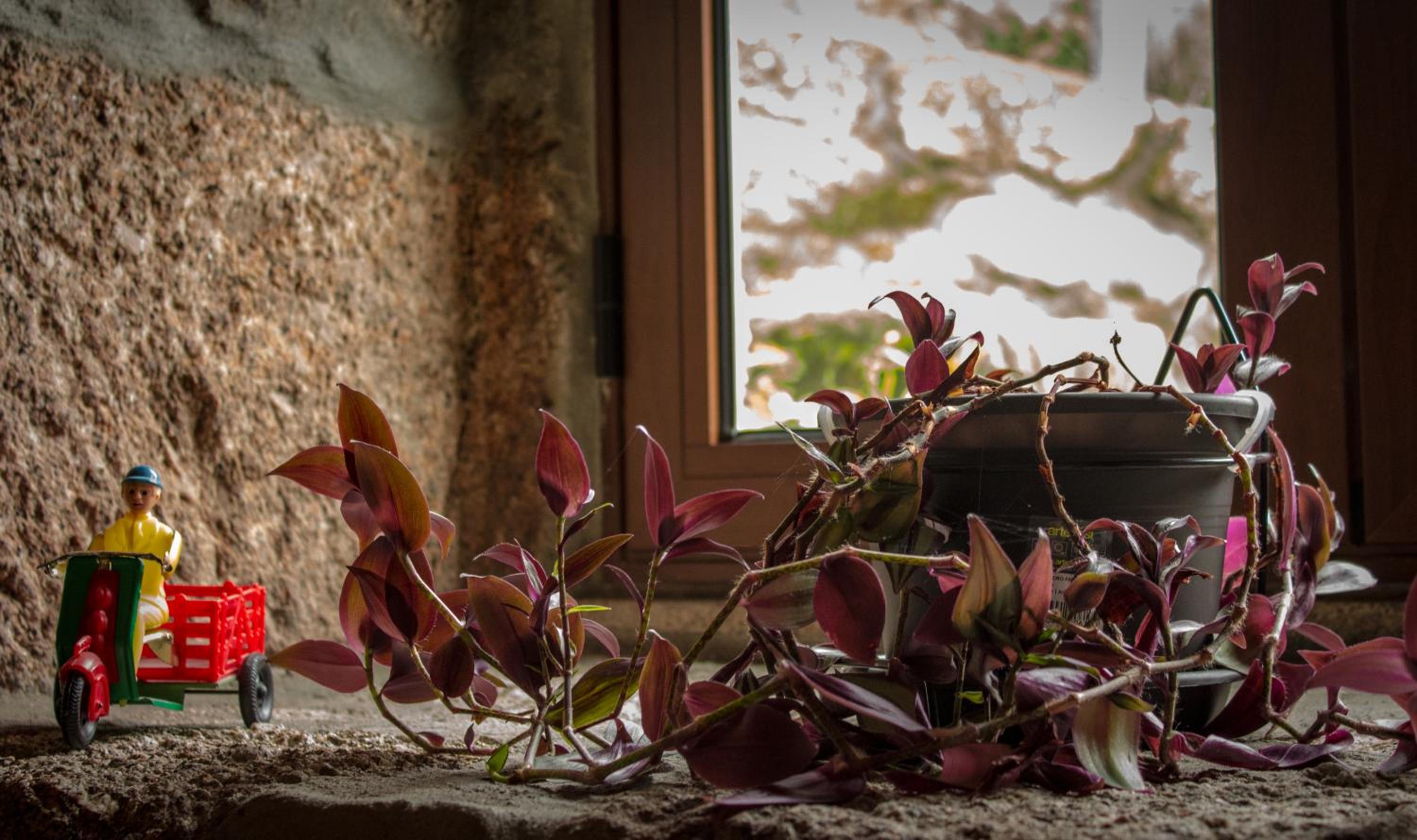 Casa das Lages, photo 50