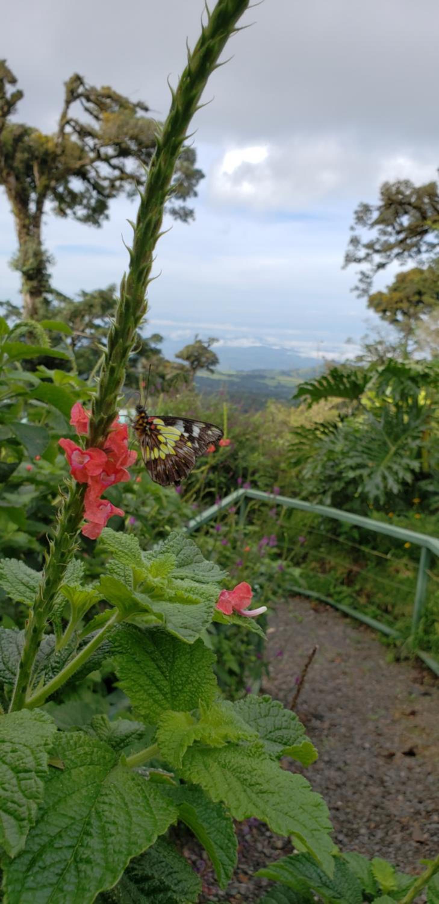 Casa El Granero Monteverde