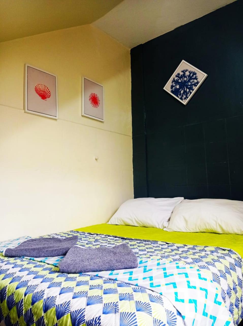 Panela Coffee Hostel