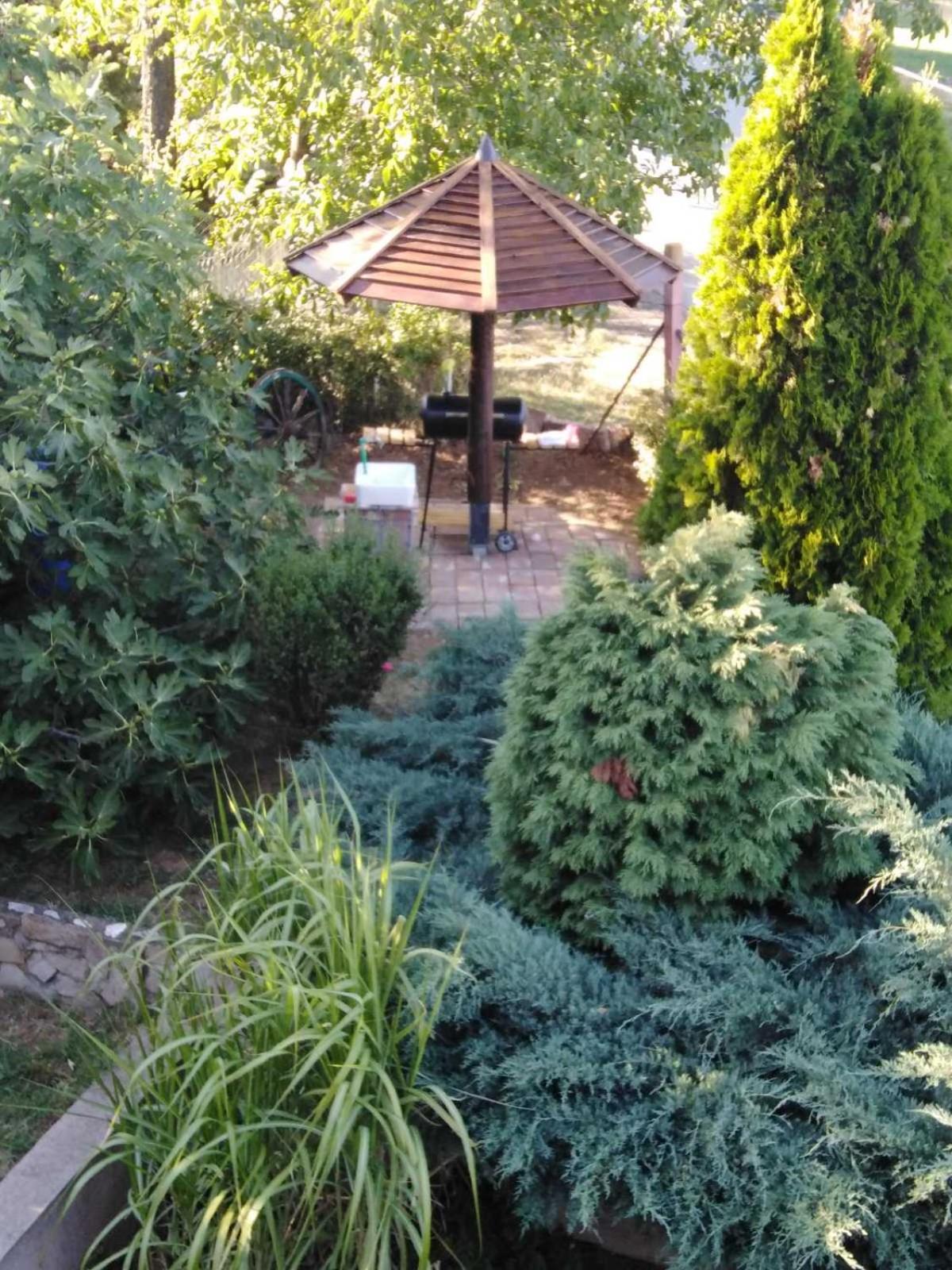 Photo 44
