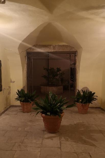 Les maisons cocó