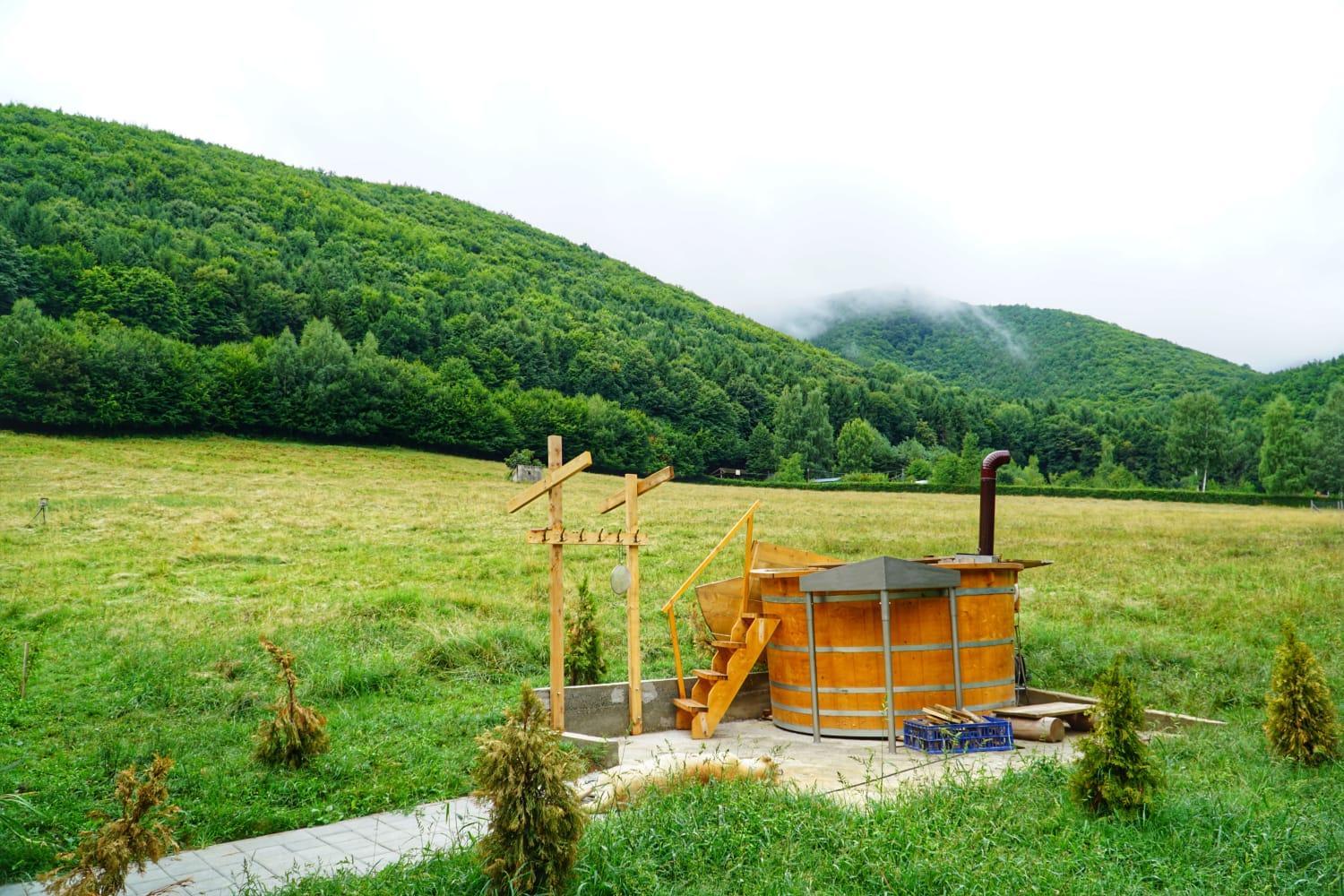 Pensiunea Natura Sadu view 4