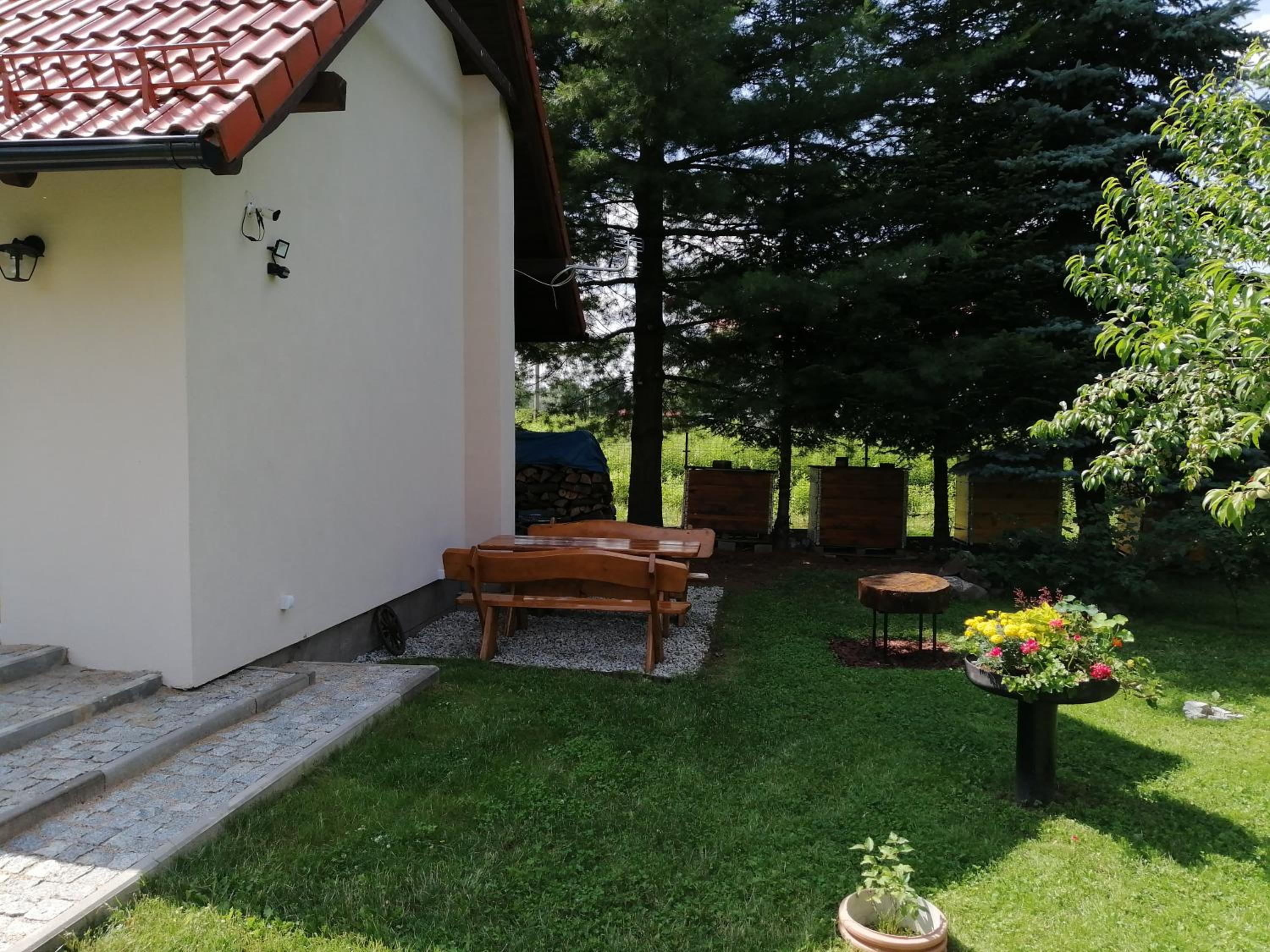 Photo 10