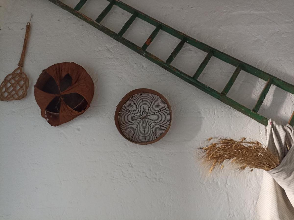 Villetta Maria: casa-vacanze nel cuore del Salento photo 4