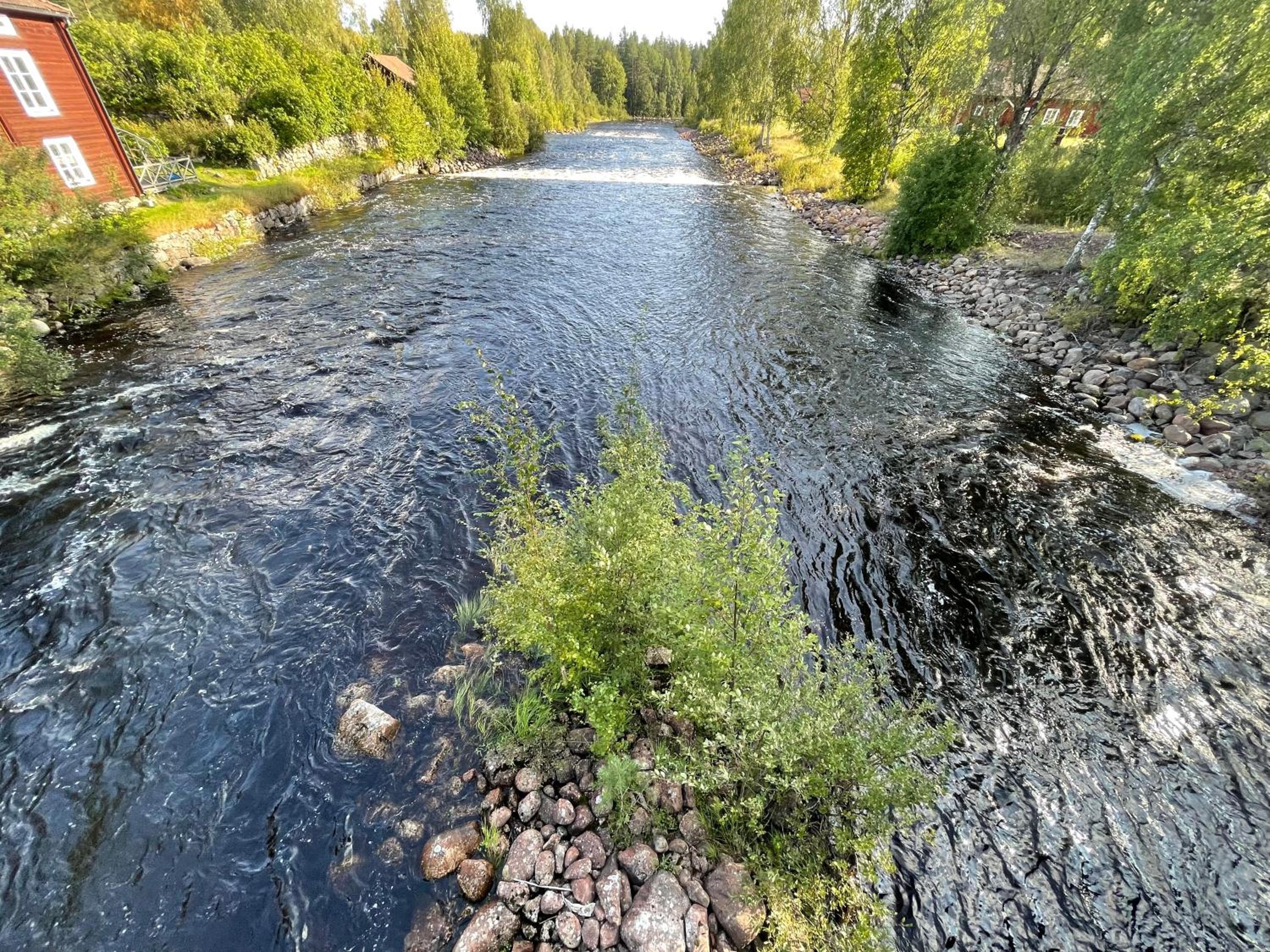 Photo 37