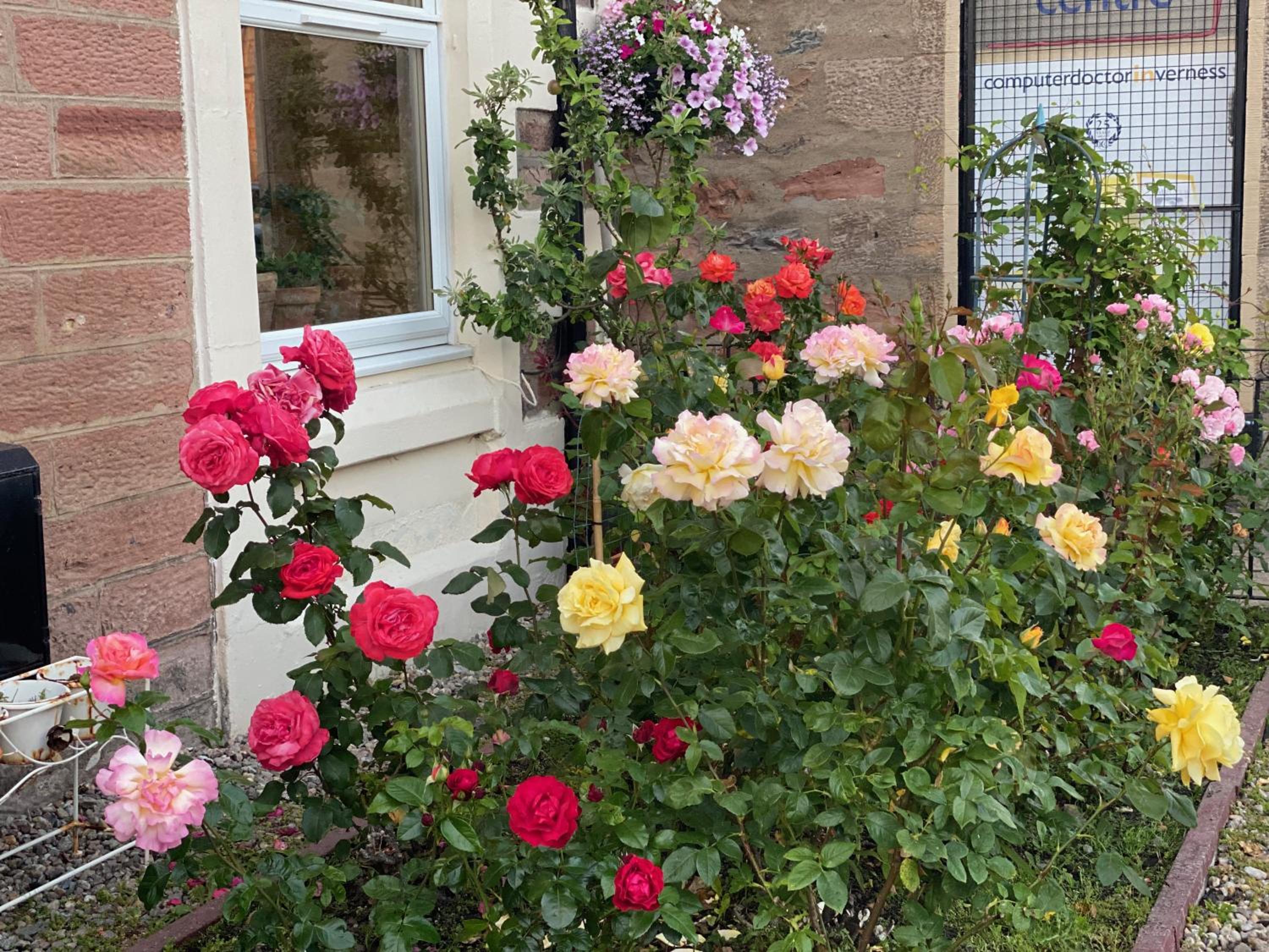 No 29 Bed and Breakfast view 5