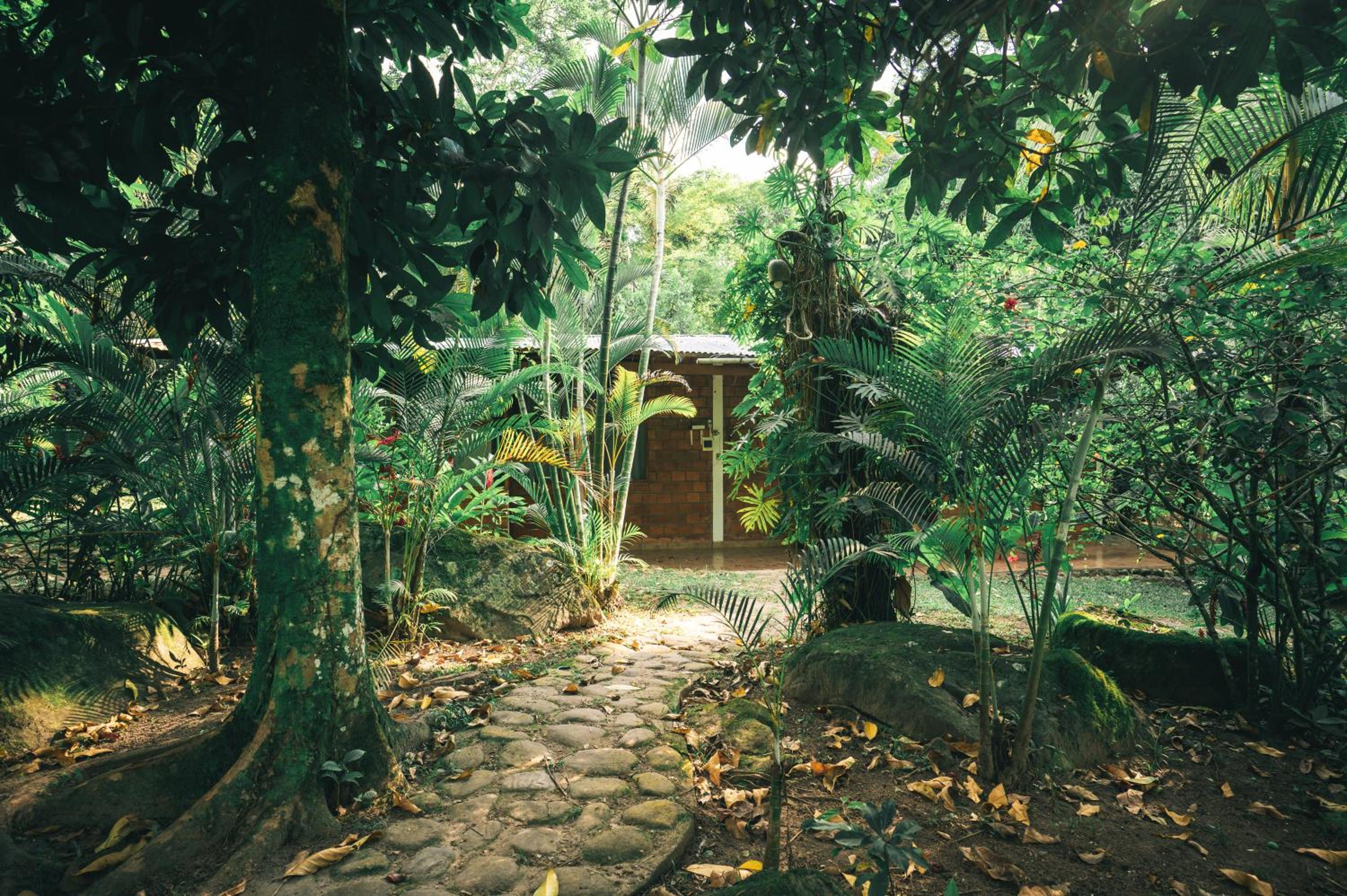 Huingos Eco Lodge
