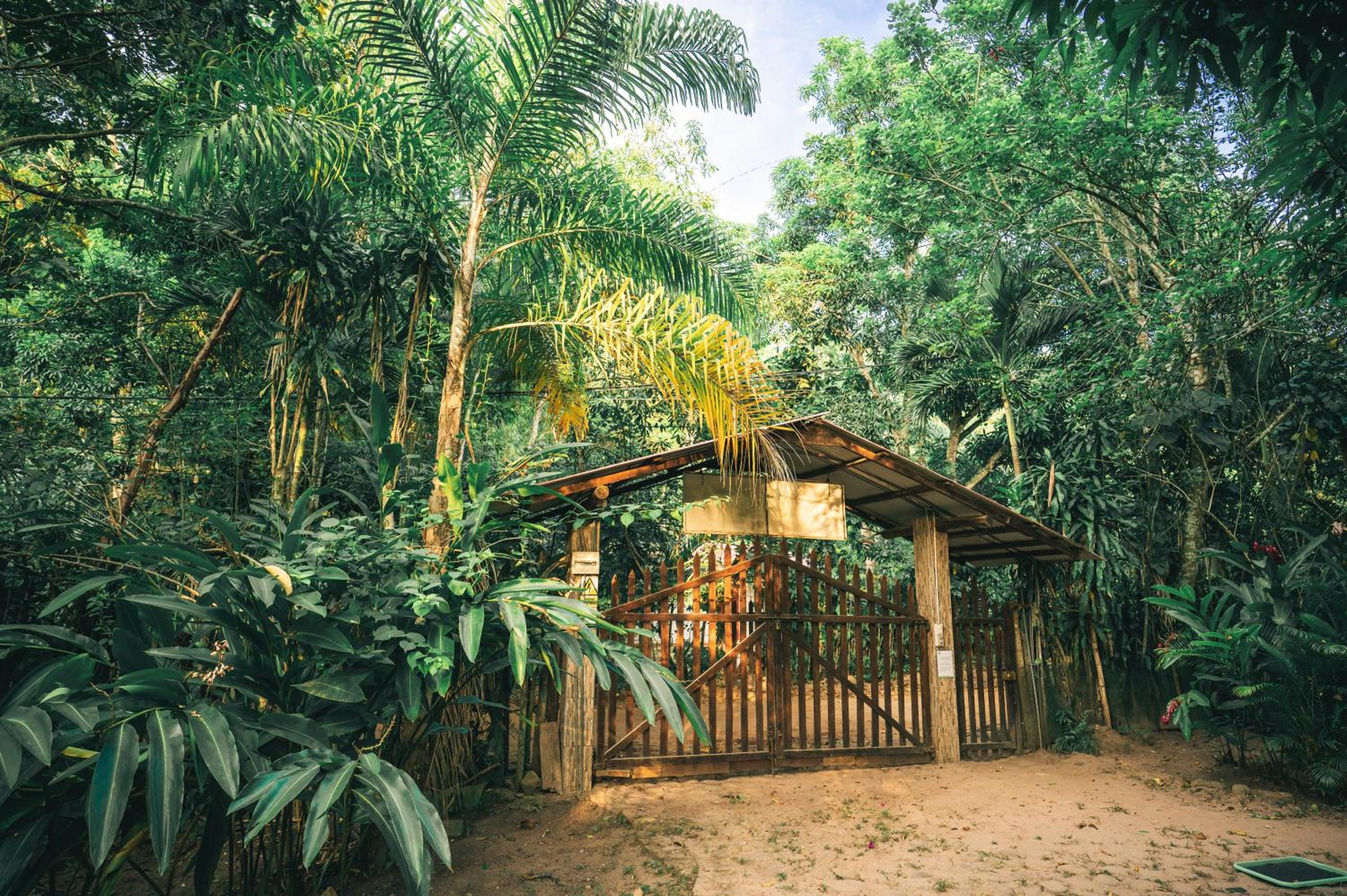 Huingos Eco Lodge