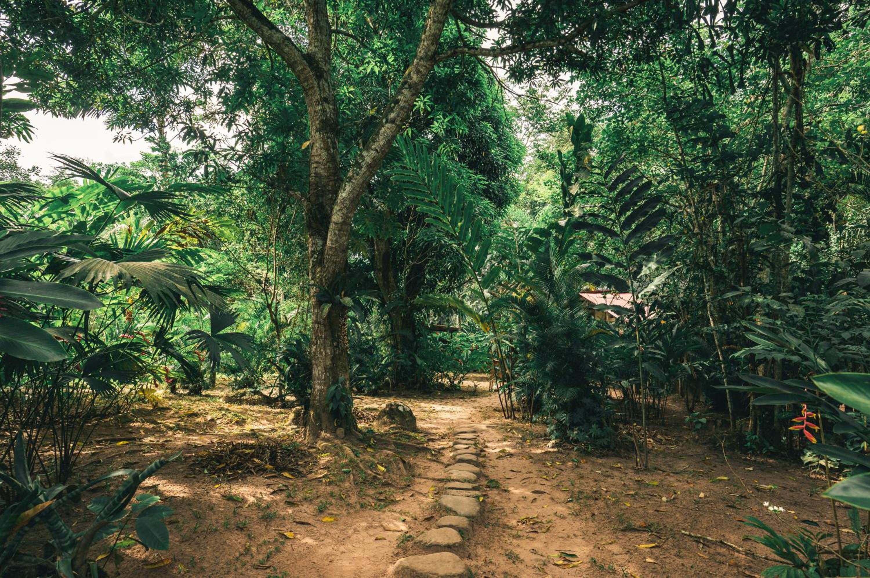 Huingos Eco Lodge