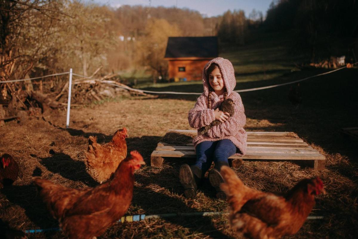 Photo 49