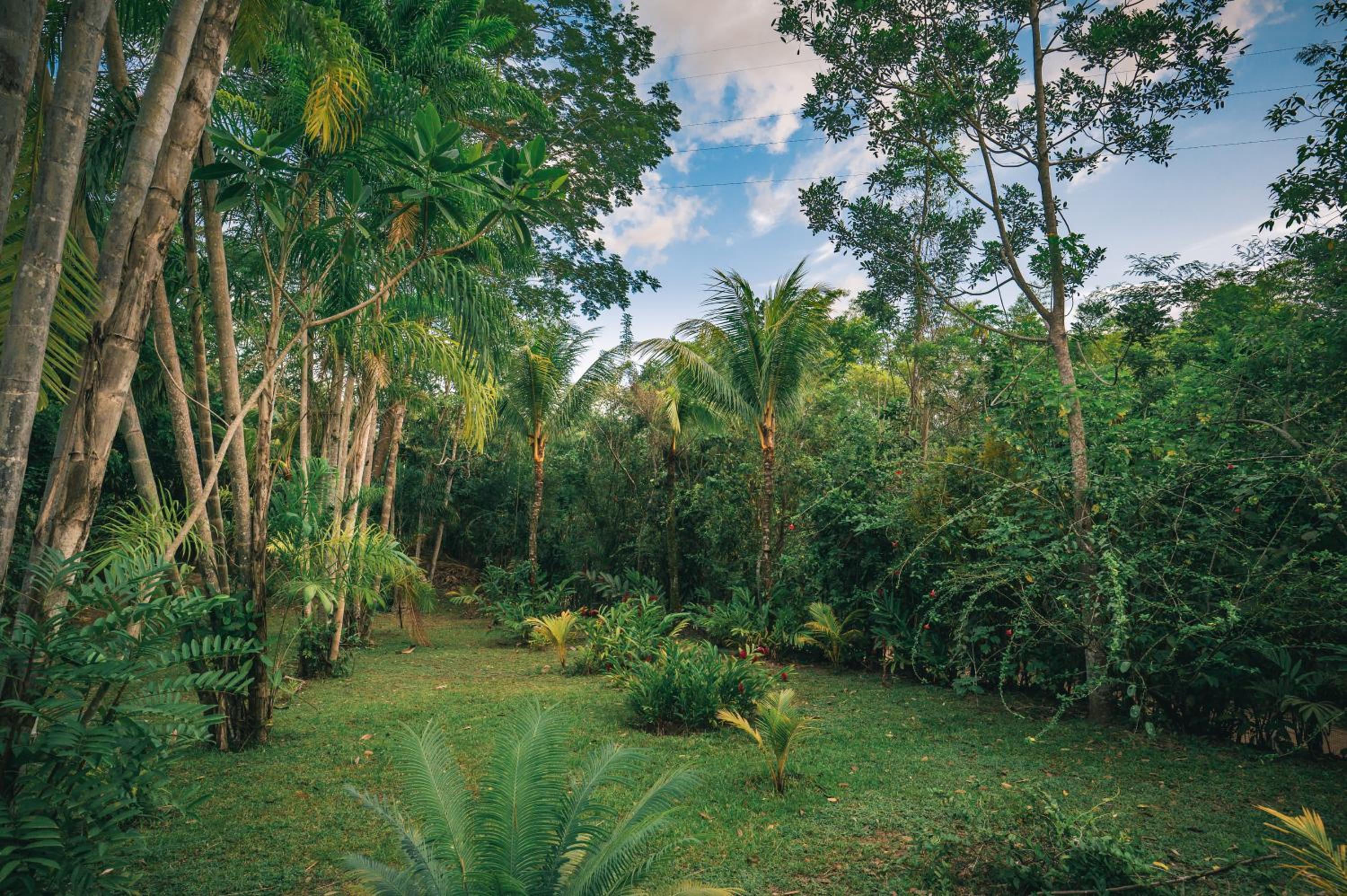 Huingos Eco Lodge