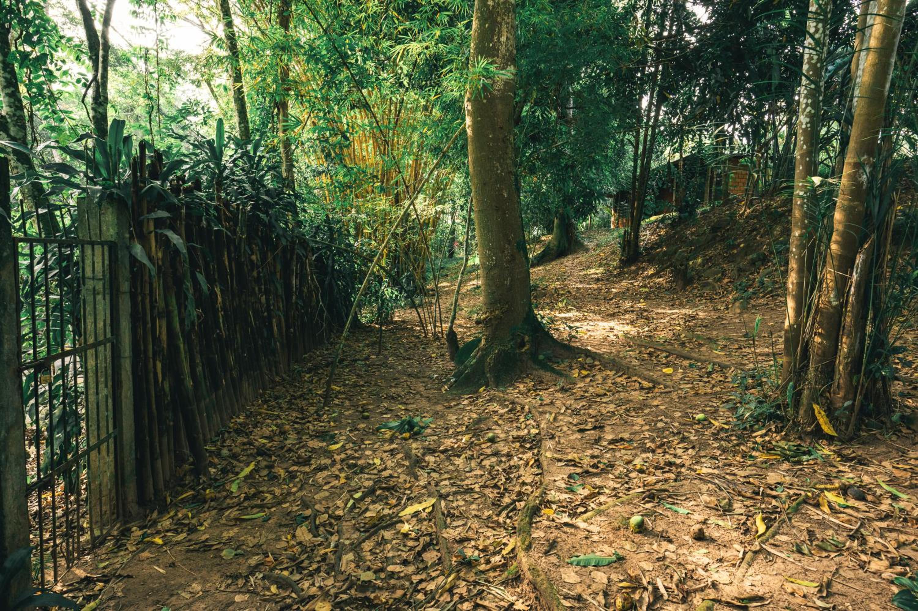 Huingos Eco Lodge
