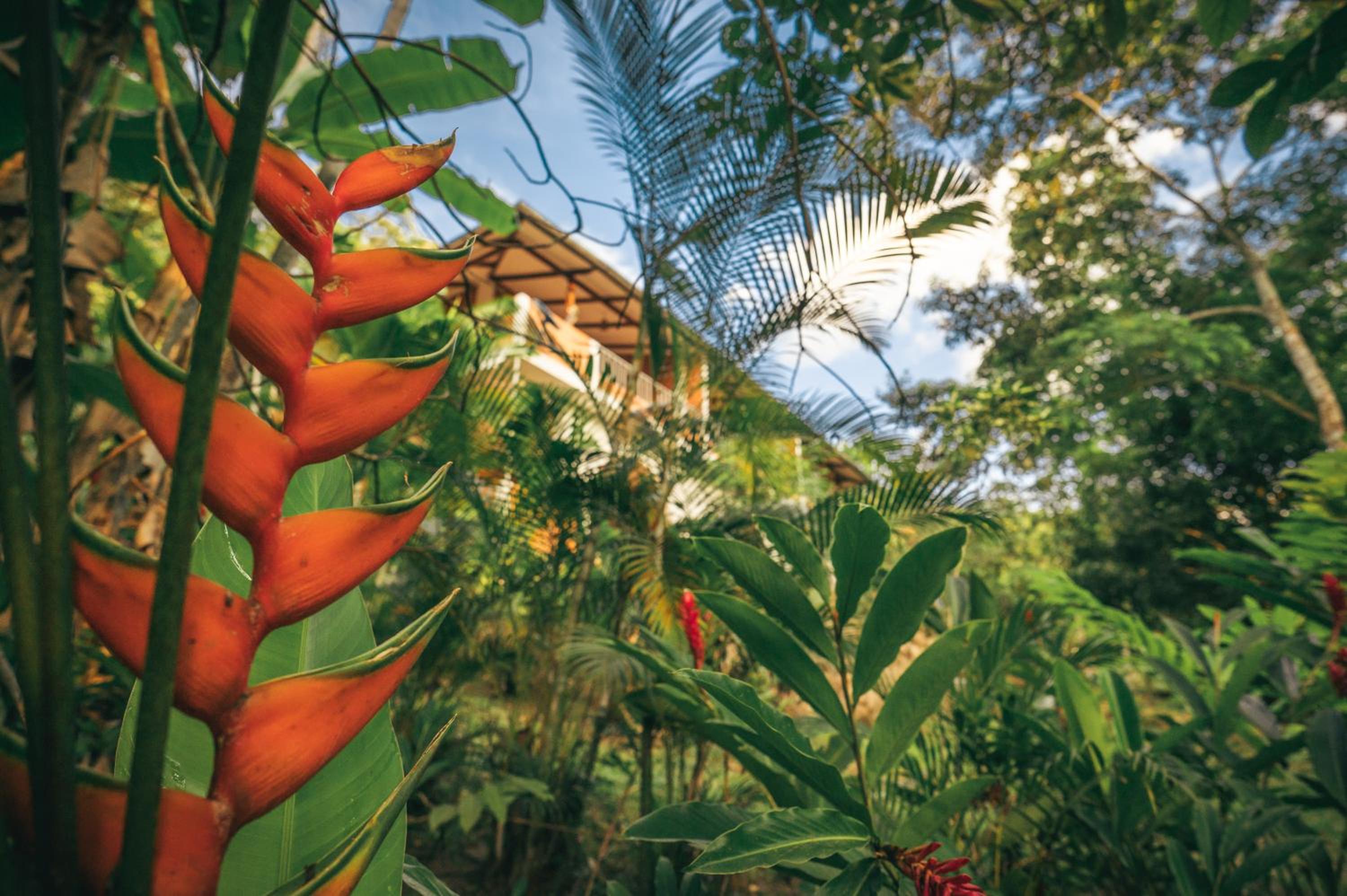 Huingos Eco Lodge