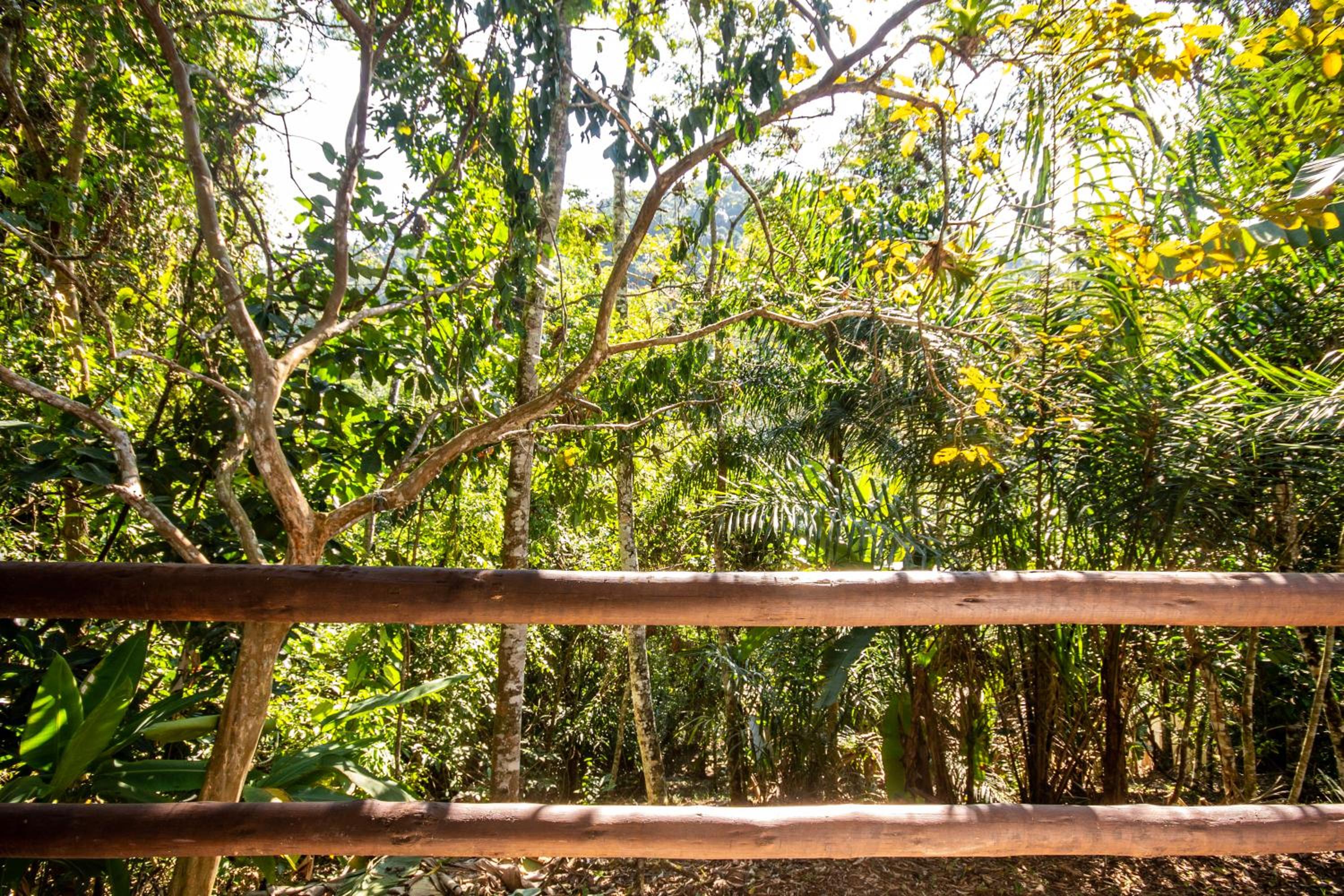 EcoLodge Paraty