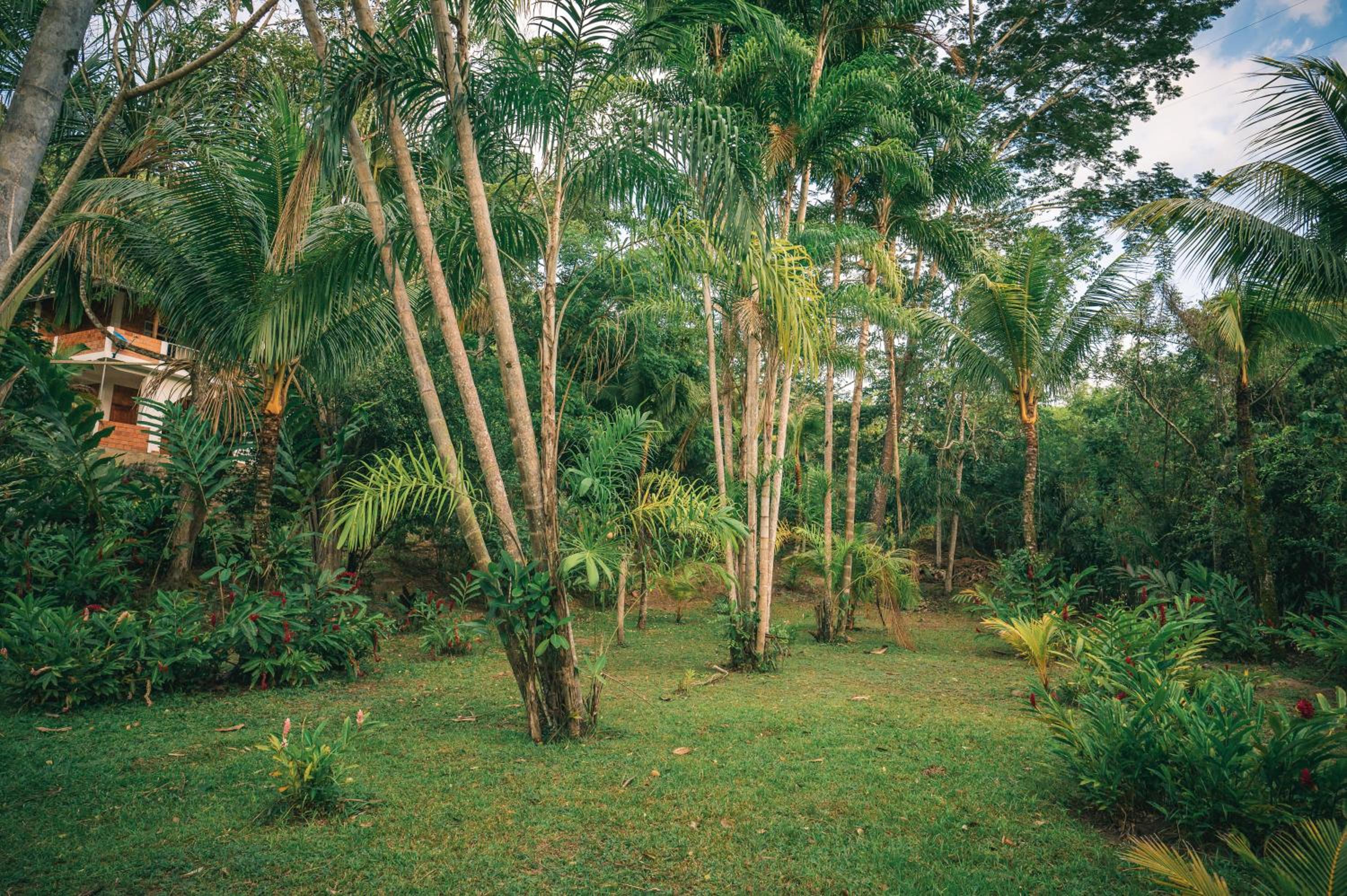 Huingos Eco Lodge