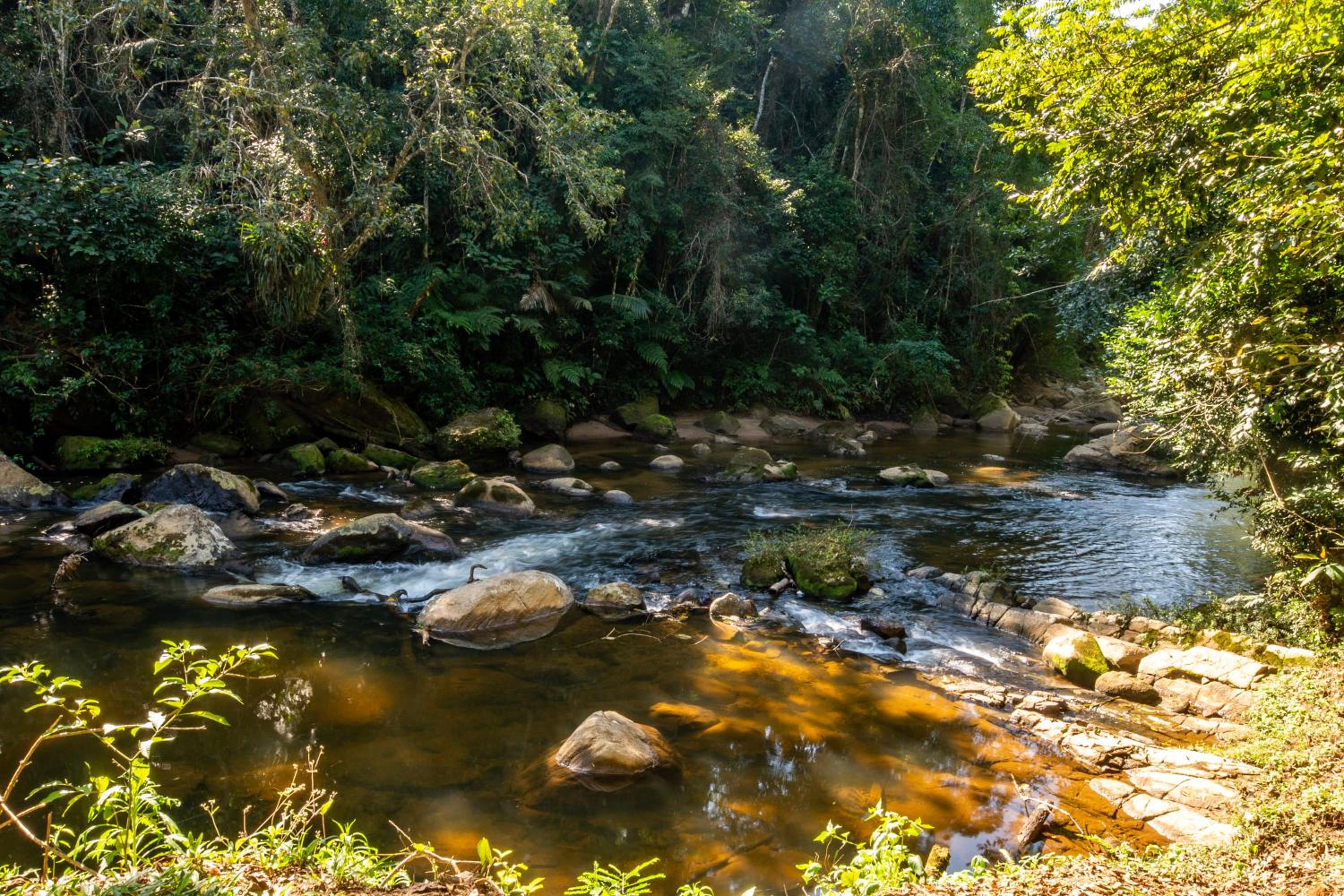 EcoLodge Paraty