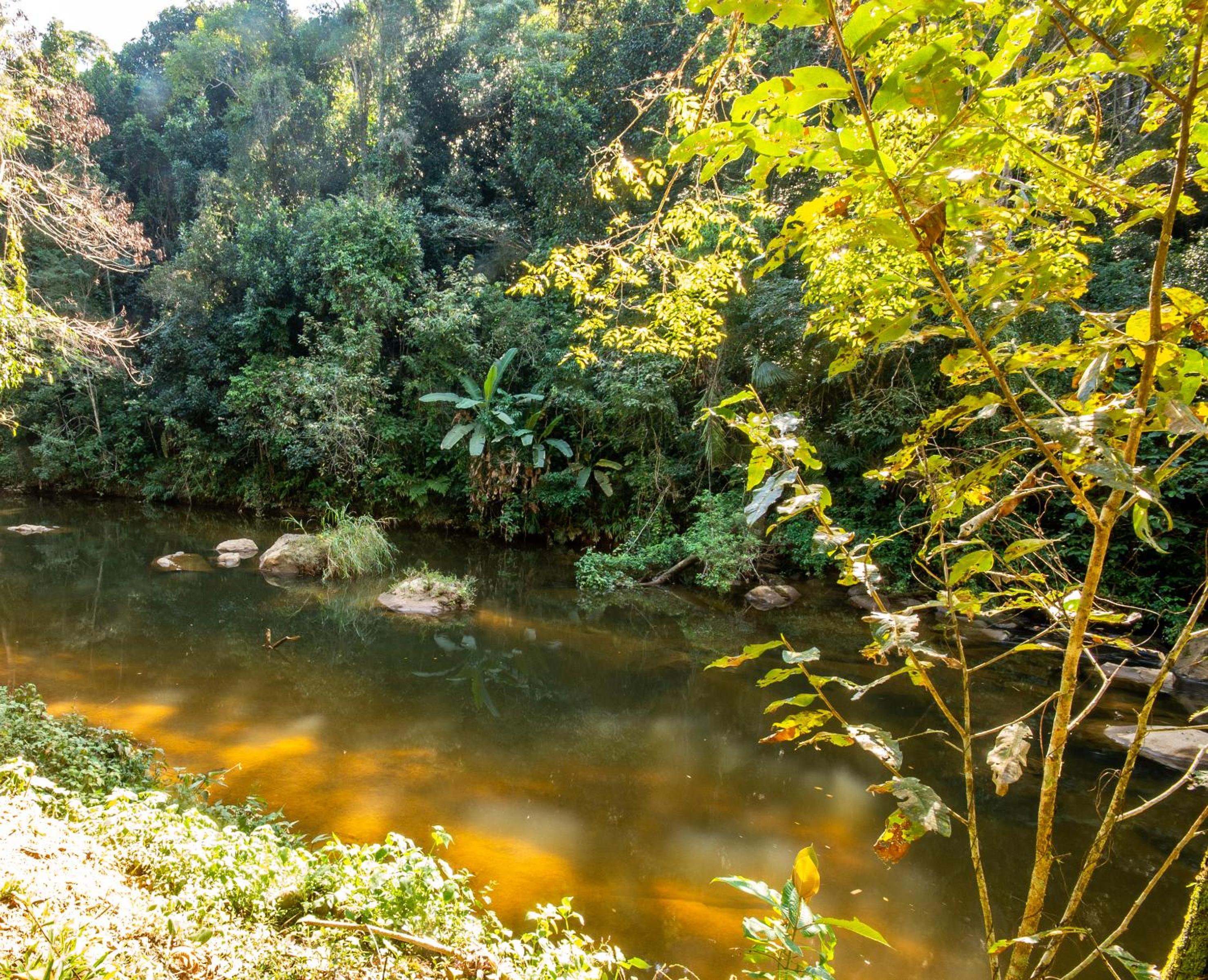 EcoLodge Paraty