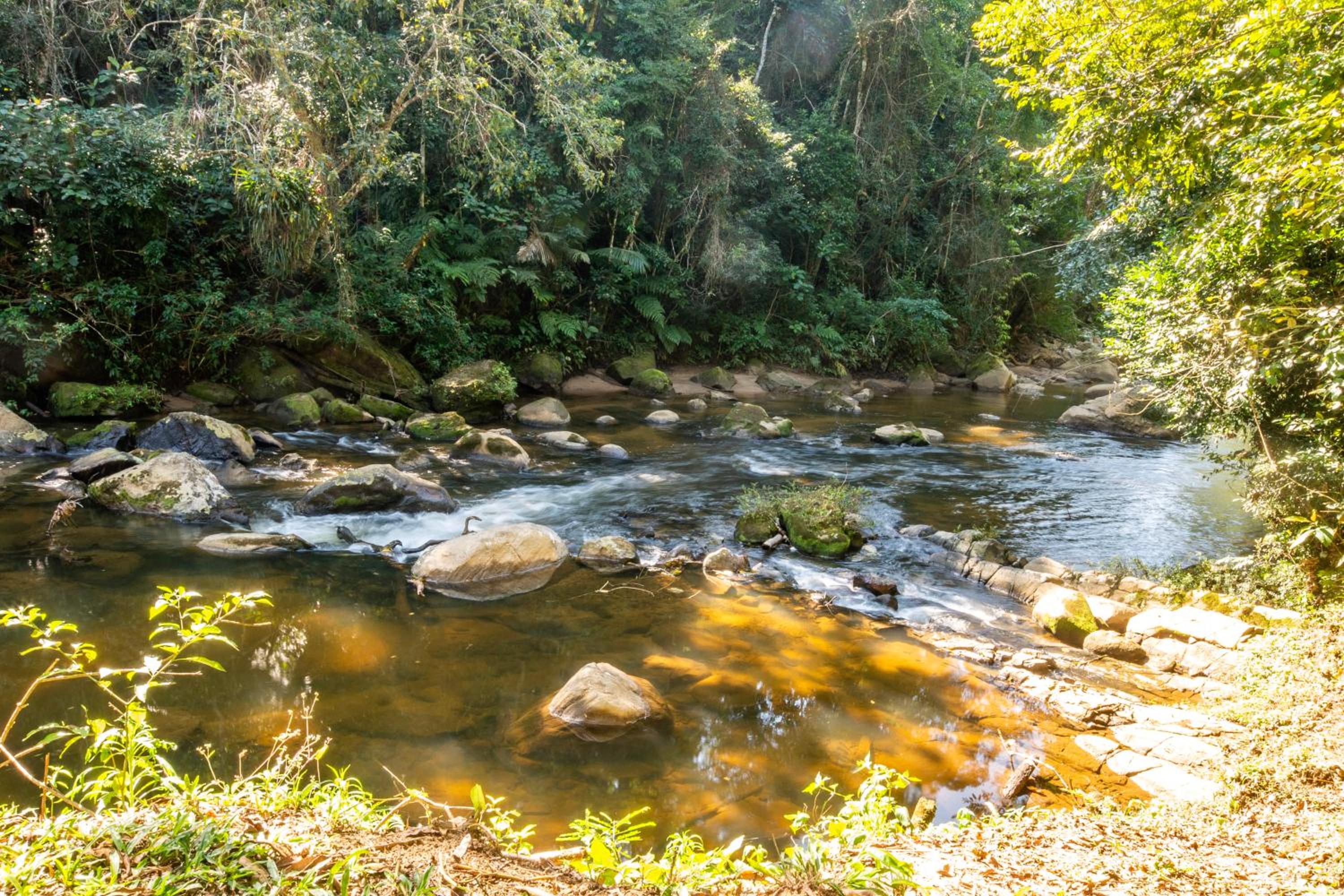 EcoLodge Paraty