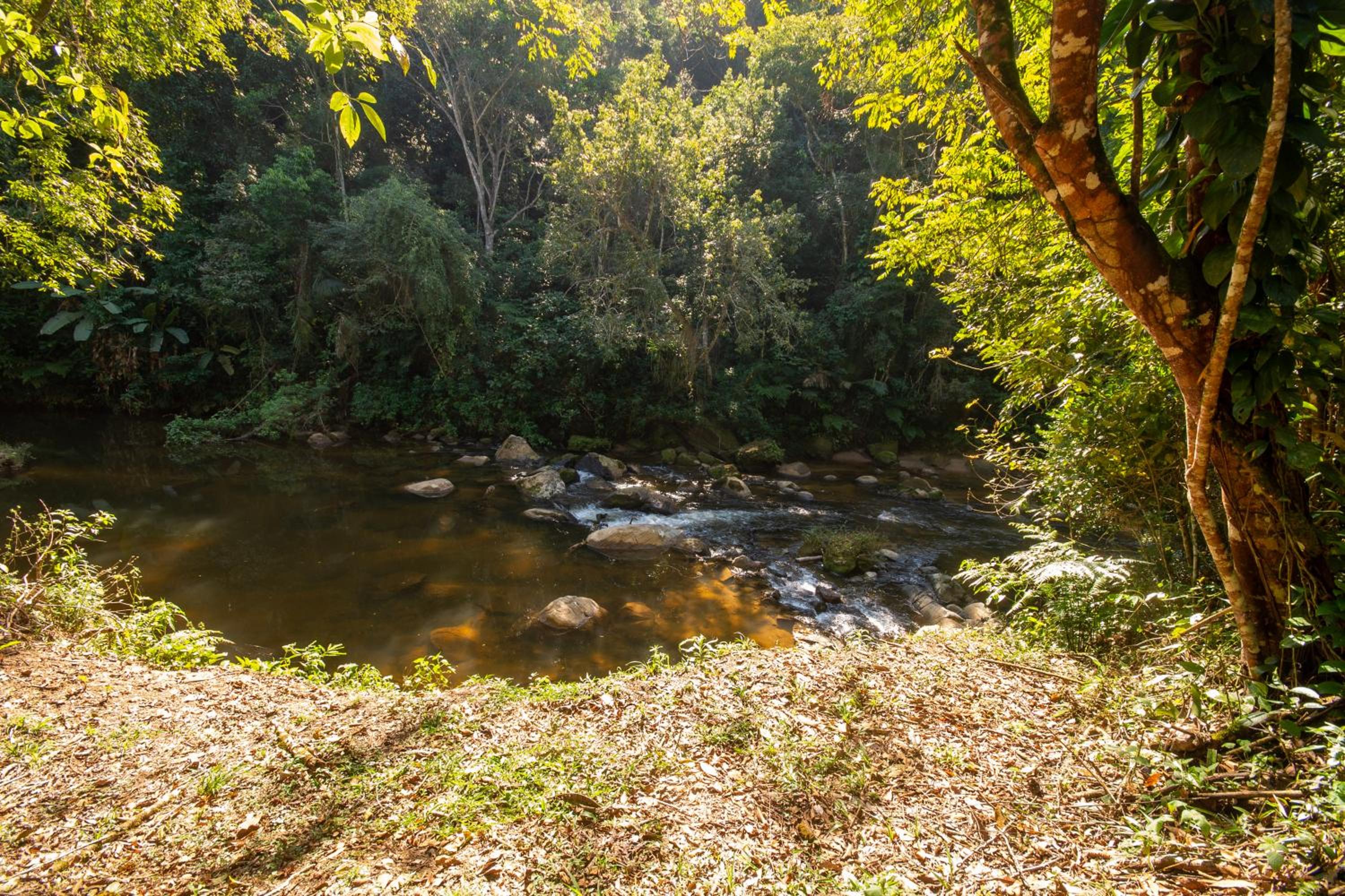 EcoLodge Paraty