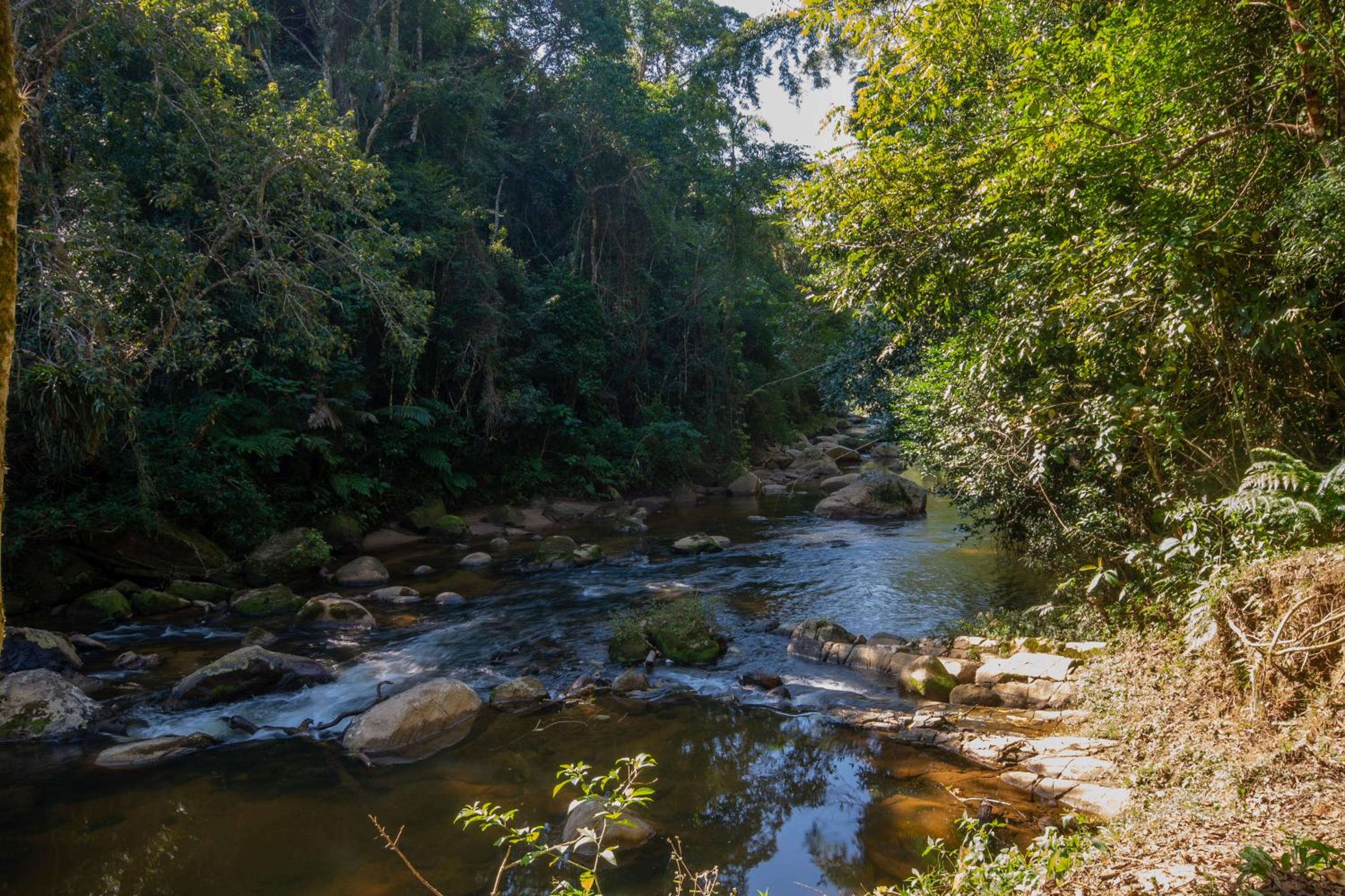 EcoLodge Paraty