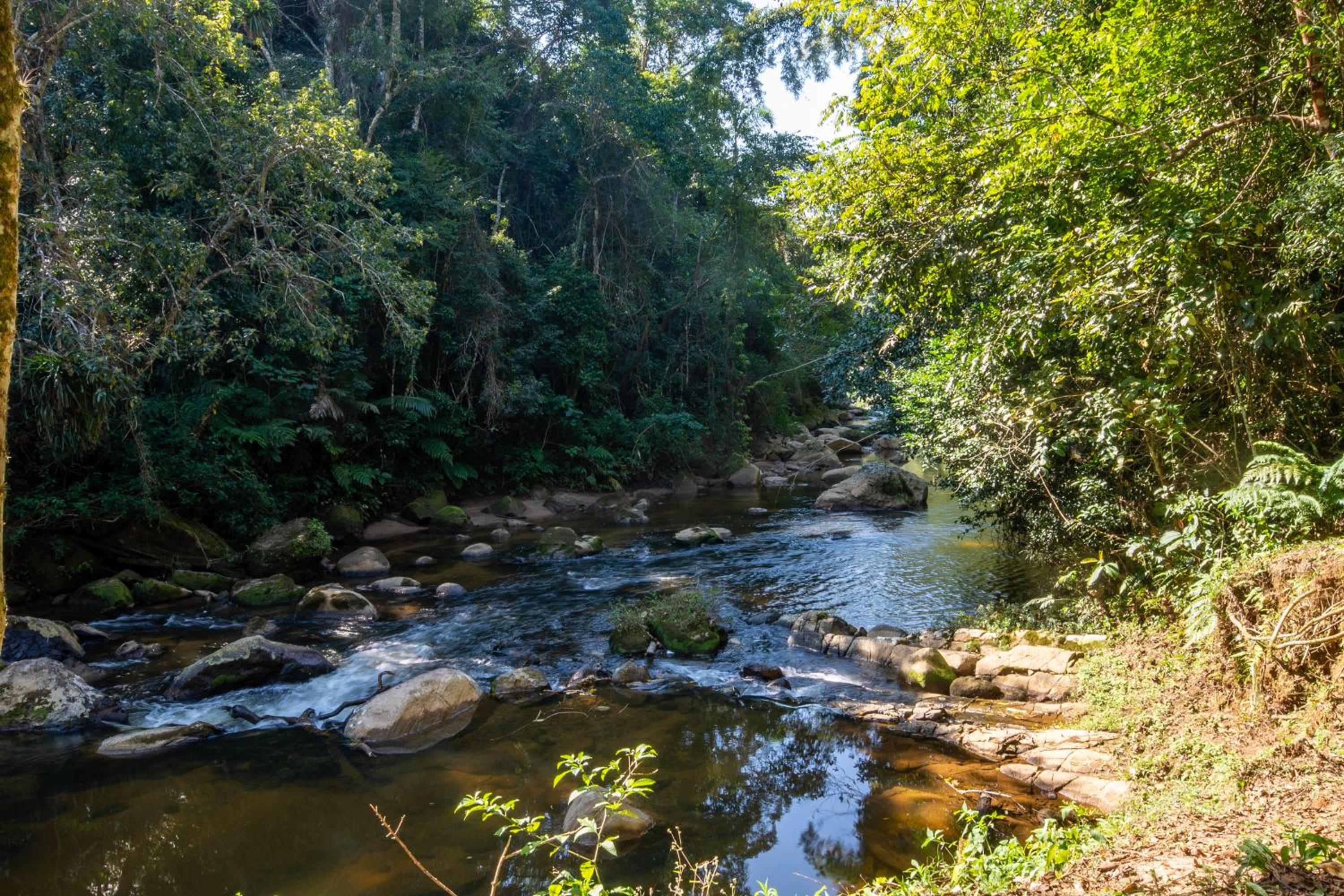 EcoLodge Paraty