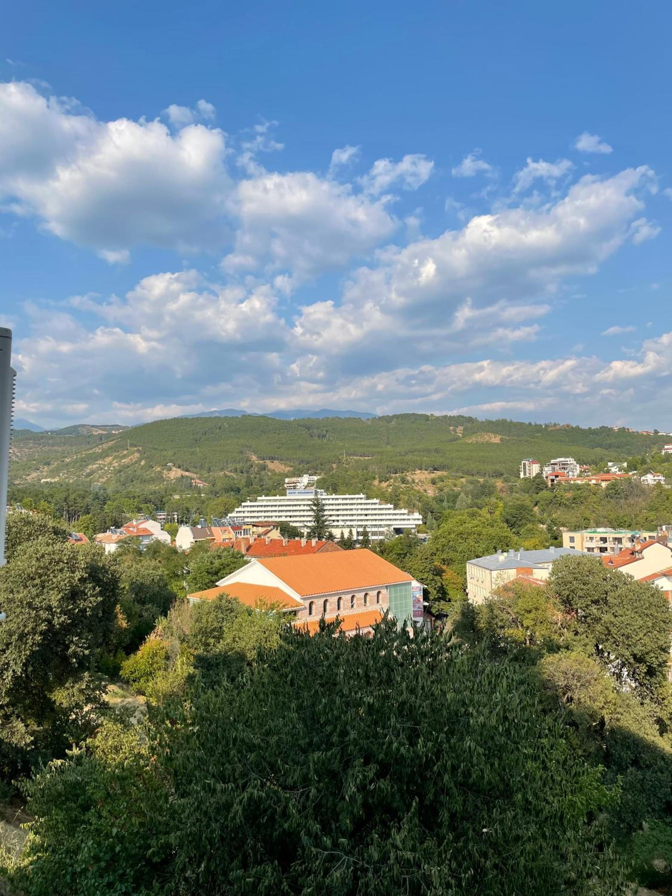 The View