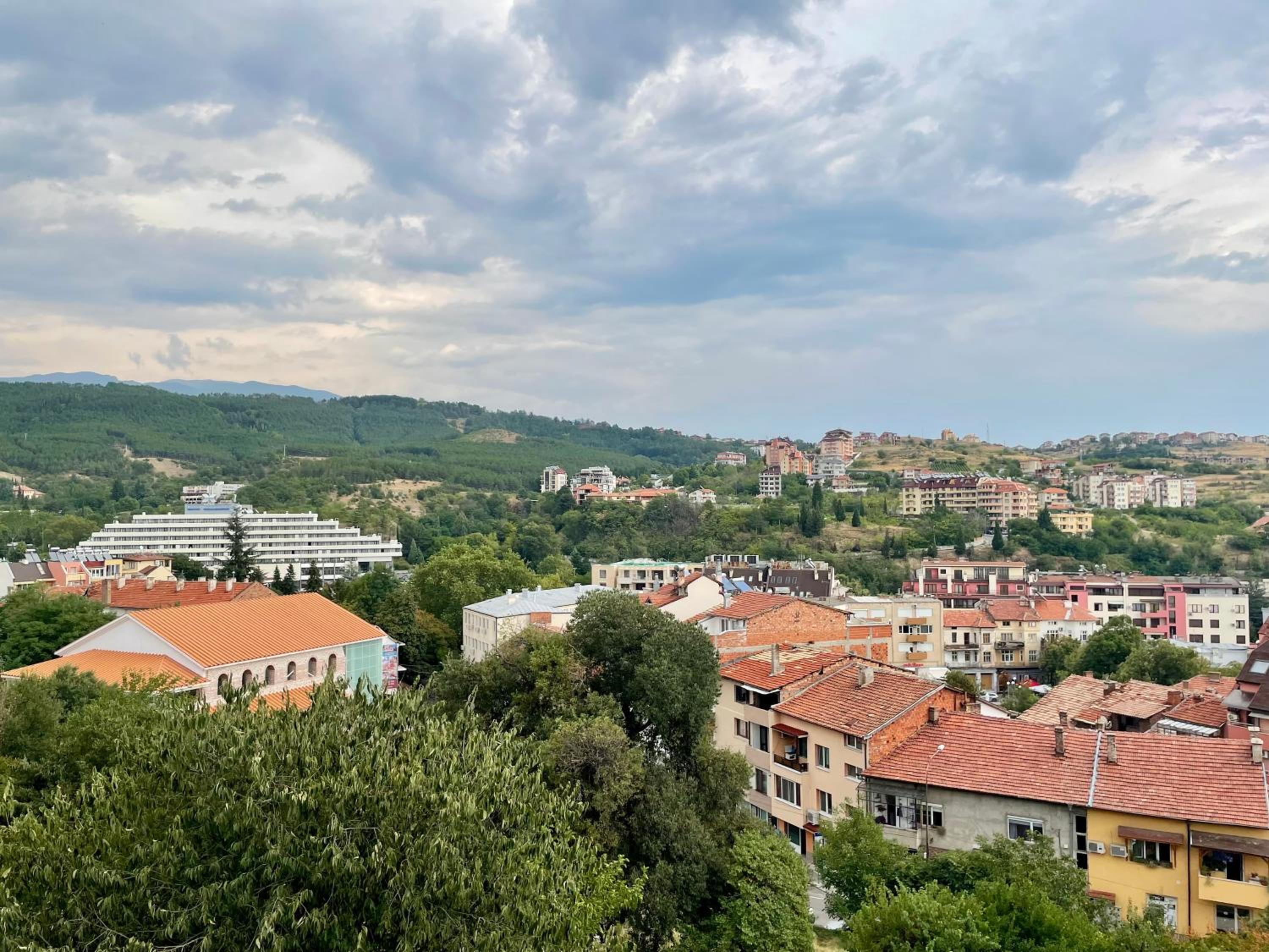 The View