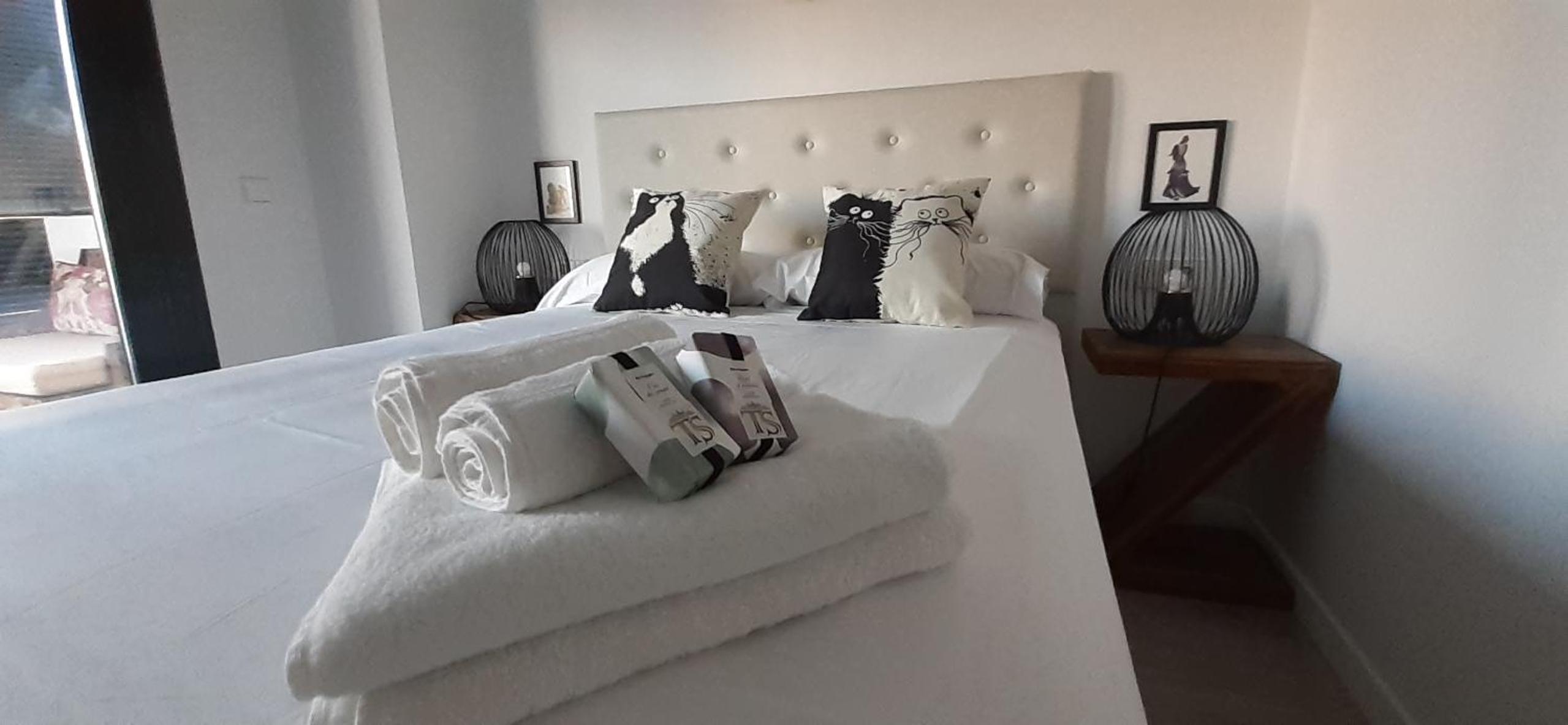 Teatinos Suite